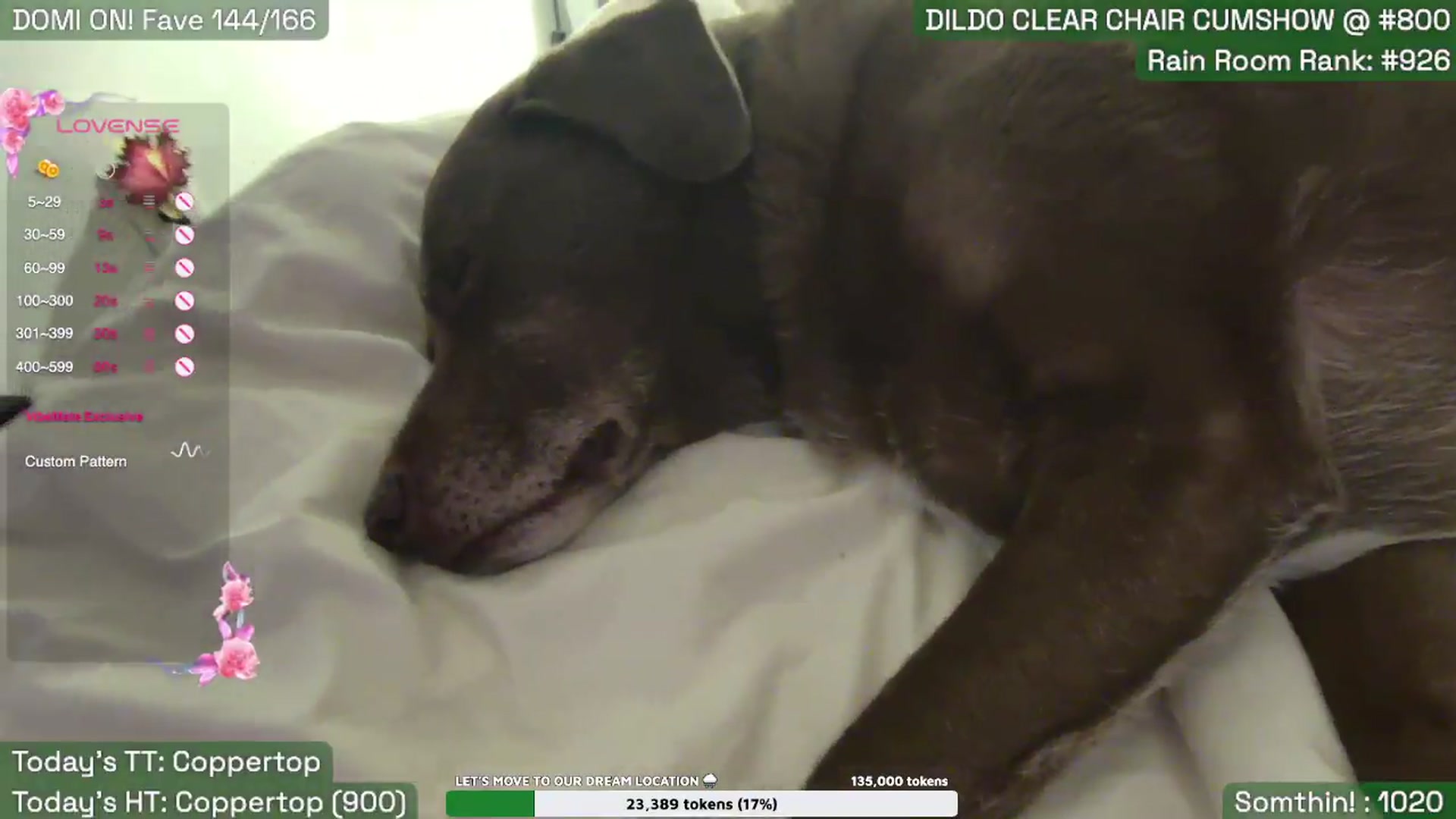 Gallery image thumbnail from SabrinaRain's myfreecams stream on, 08/30/2026, 04:18 image 16 of 20