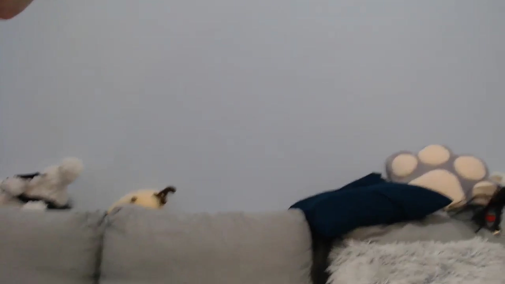 Gallery image thumbnail from SabrinaViolet's myfreecams stream on, 12/04/2023, 12:28 image 13 of 20