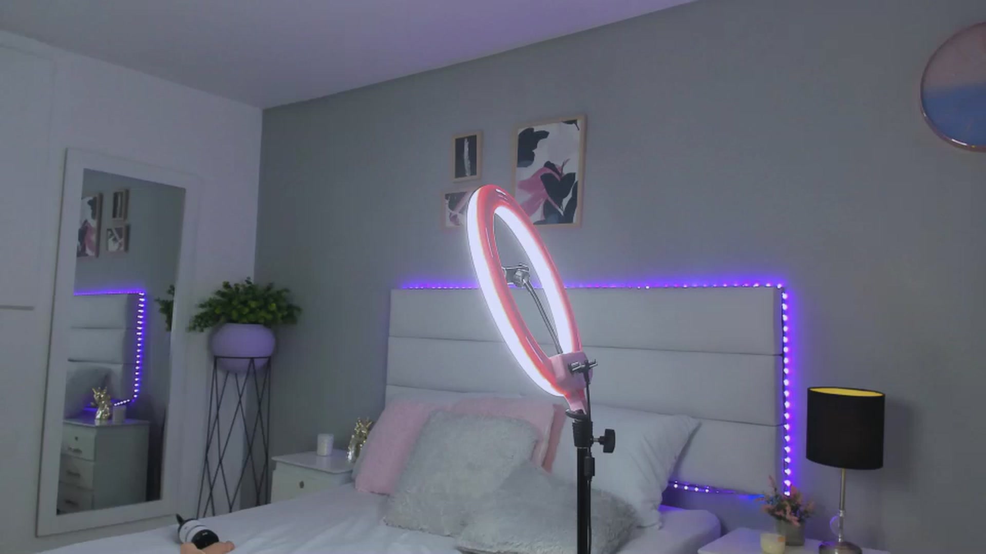 Gallery image thumbnail from Sabrinarey_'s myfreecams stream on, 11/25/2022, 01:07 image 9 of 20
