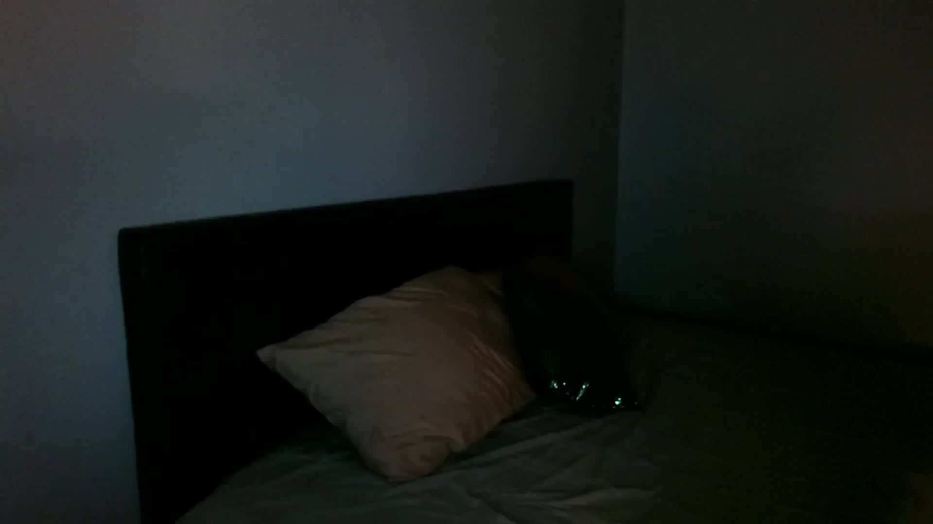 Gallery image thumbnail from SadieHawkins1's myfreecams stream on, 06/17/2025, 23:36 image 12 of 20