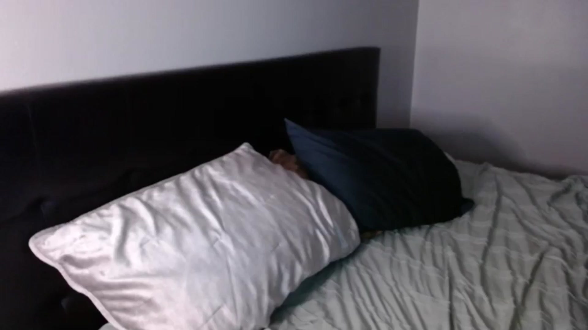 Gallery image thumbnail from SadieHawkins1's myfreecams stream on, 07/28/2025, 18:51 image 6 of 20