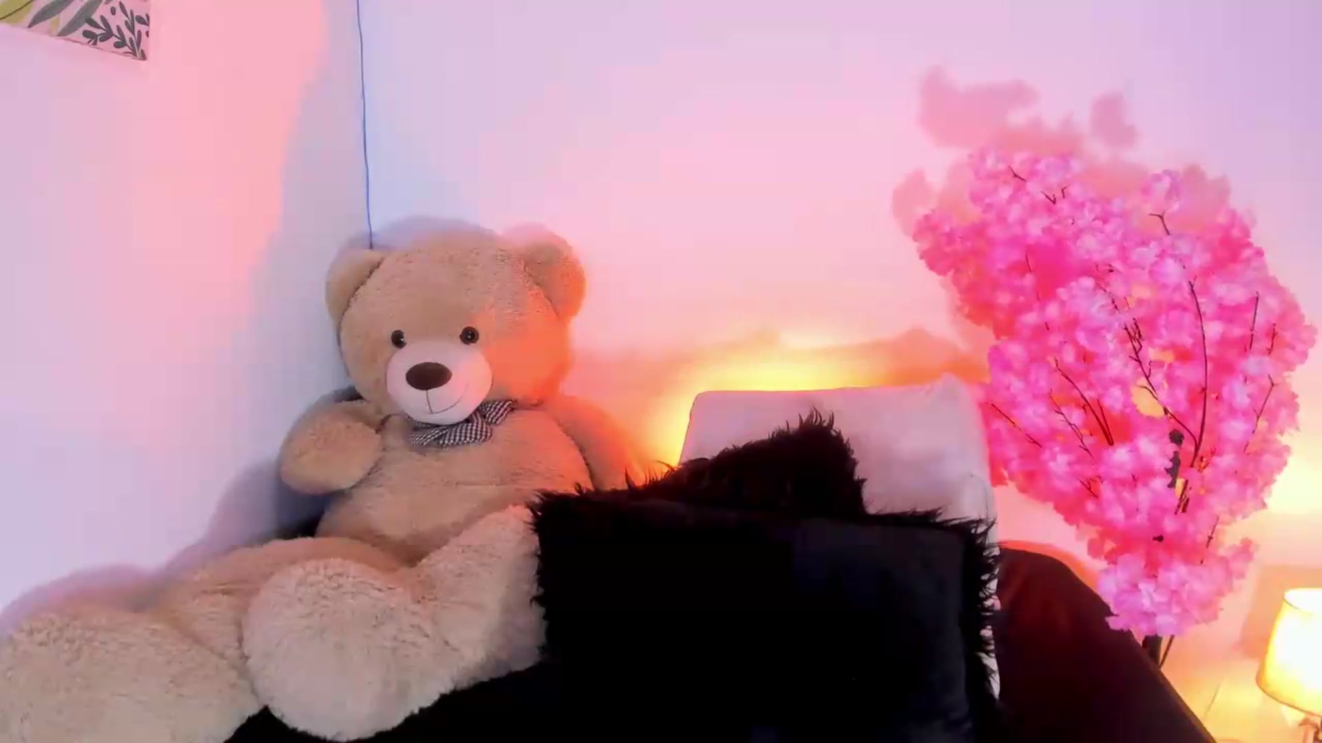 Gallery image thumbnail from SagiraBelle's myfreecams stream on, 07/01/2026, 22:23 image 7 of 20