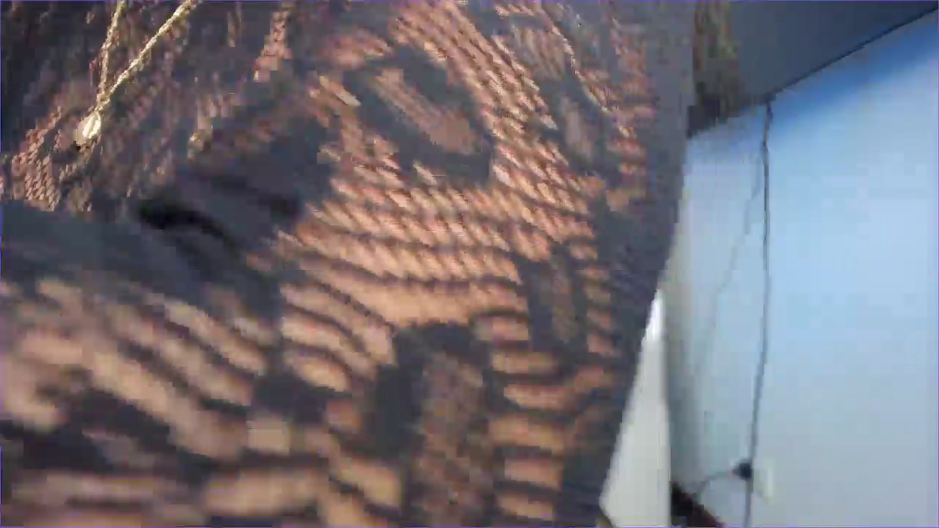 Gallery image thumbnail from Salogarces's myfreecams stream on, 02/22/2025, 15:17 image 18 of 20