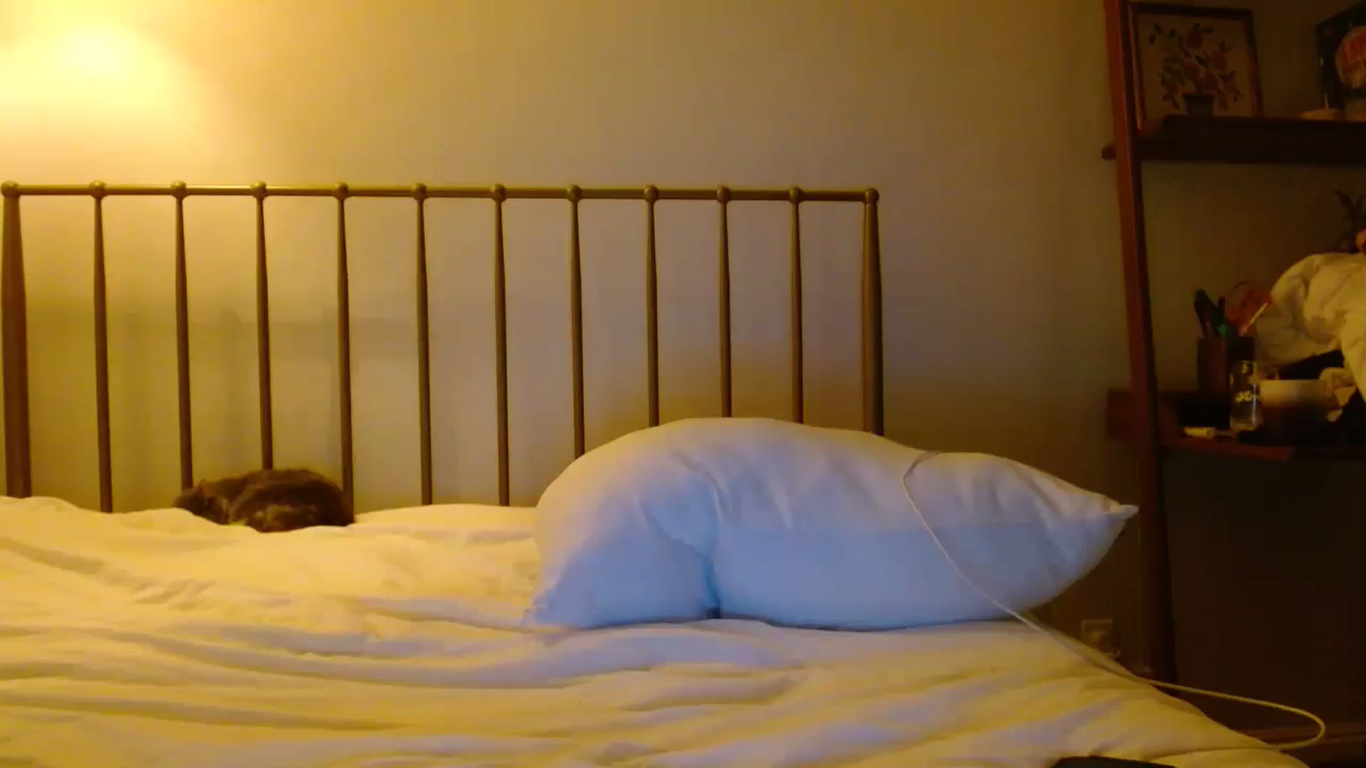Gallery image thumbnail from SamIvery's myfreecams stream on, 10/11/2023, 06:21 image 3 of 20