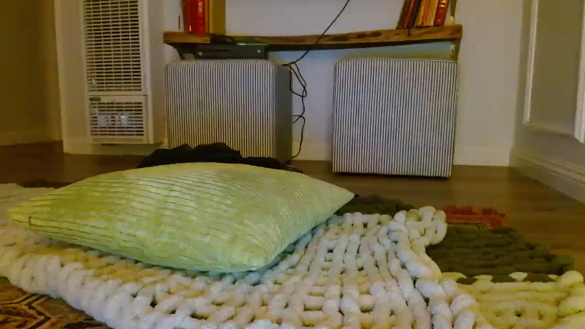 Gallery image thumbnail from SamIvery's myfreecams stream on, 11/16/2023, 01:52 image 14 of 20