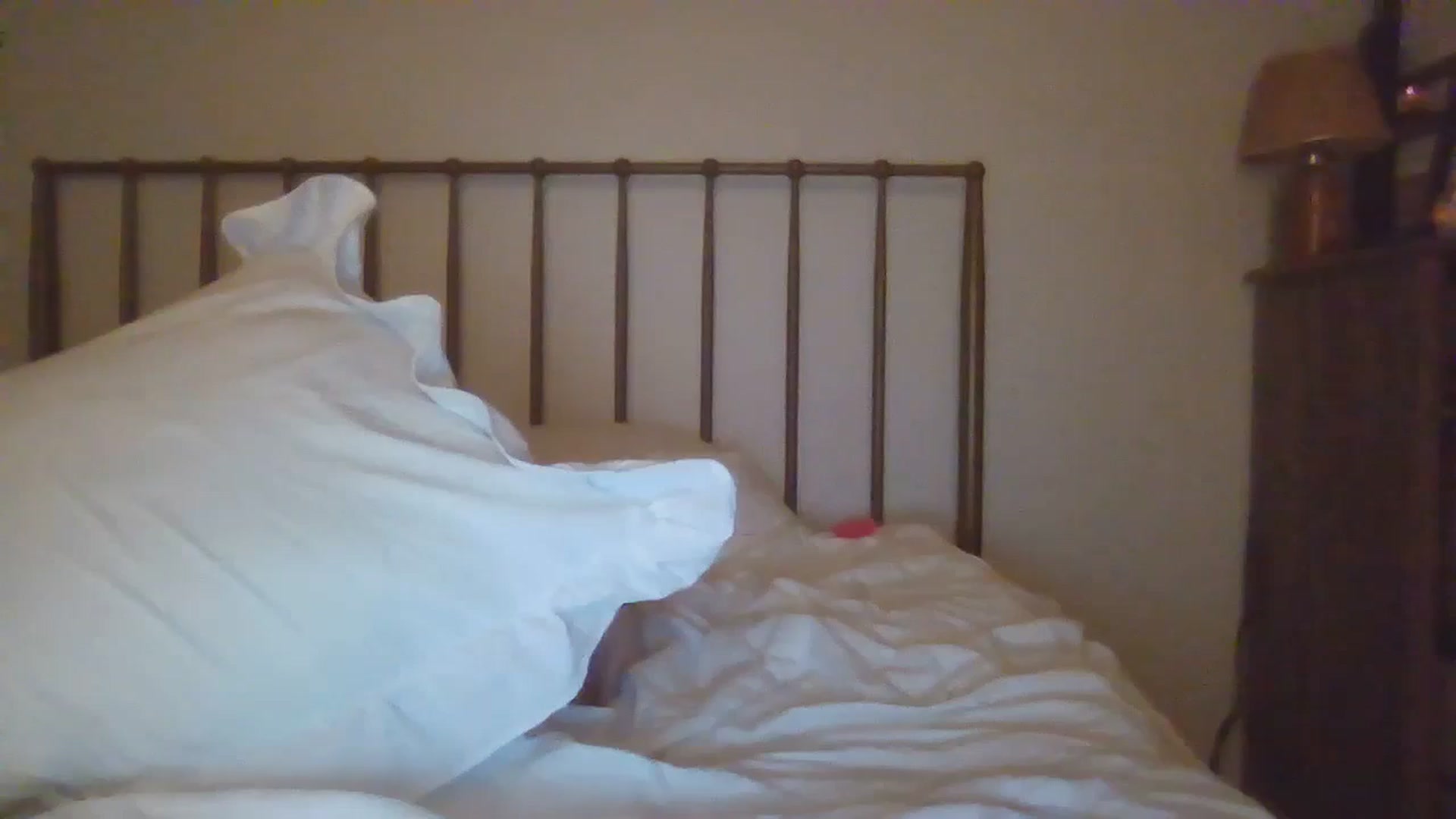 Gallery image thumbnail from SamIvery's myfreecams stream on, 08/07/2024, 07:03 image 13 of 20