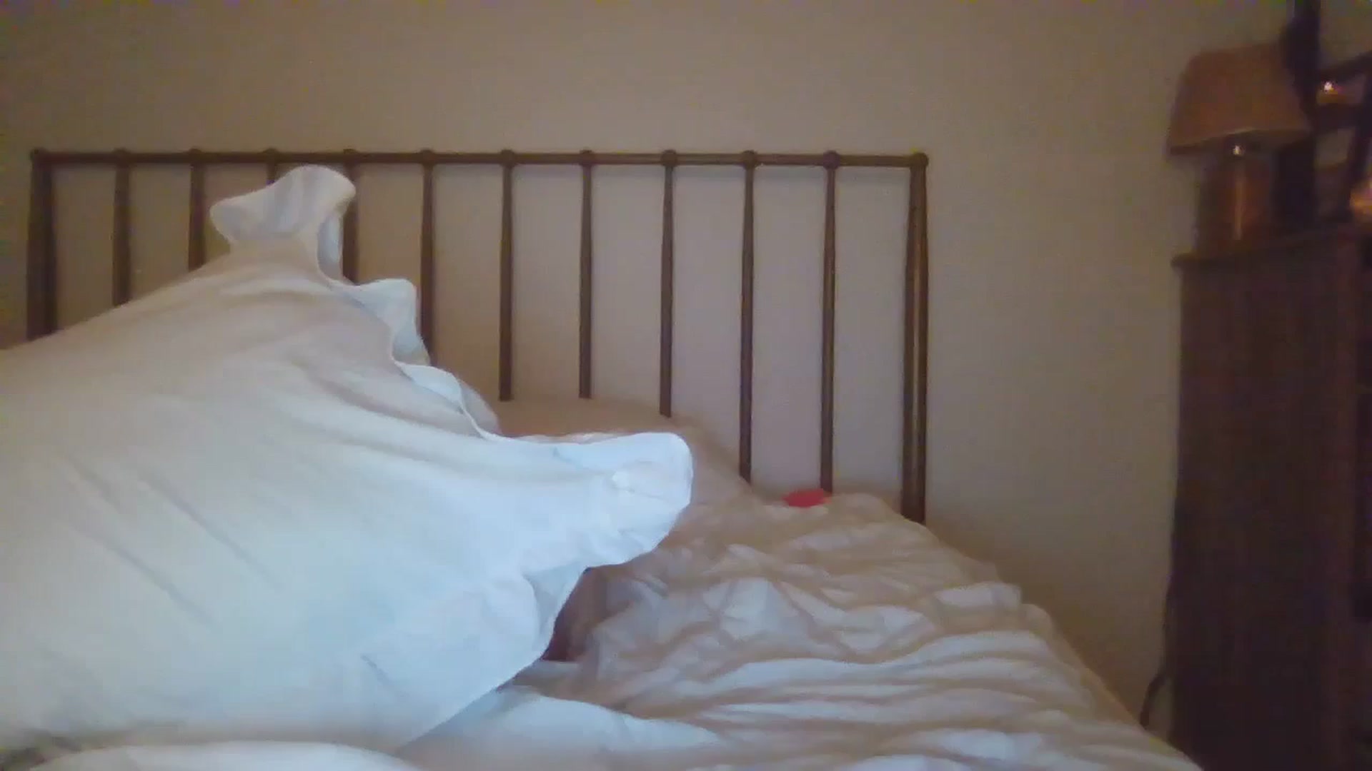 Gallery image thumbnail from SamIvery's myfreecams stream on, 08/07/2024, 07:03 image 15 of 20