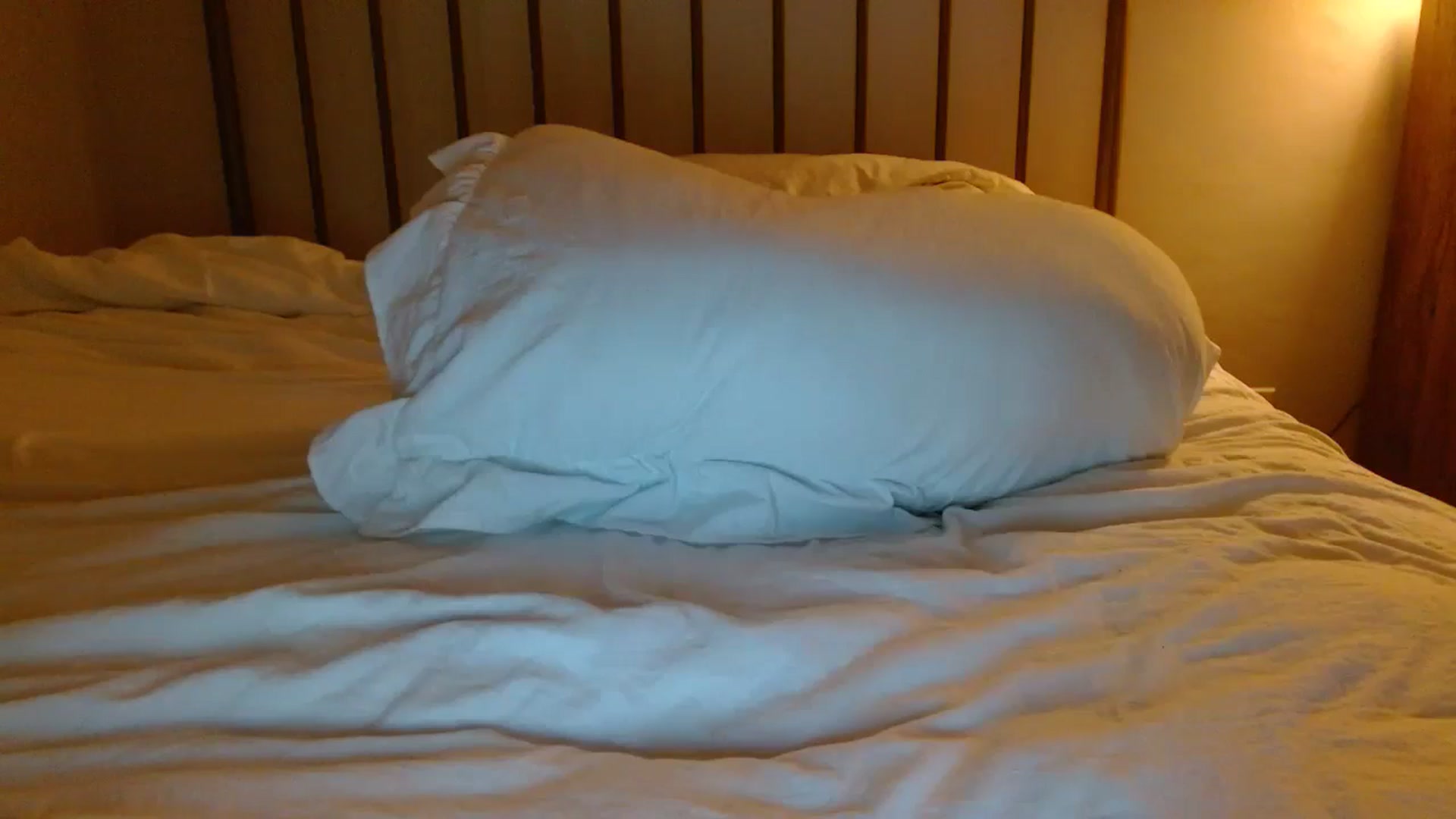 Gallery image thumbnail from SamIvery's myfreecams stream on, 08/21/2024, 07:43 image 8 of 20