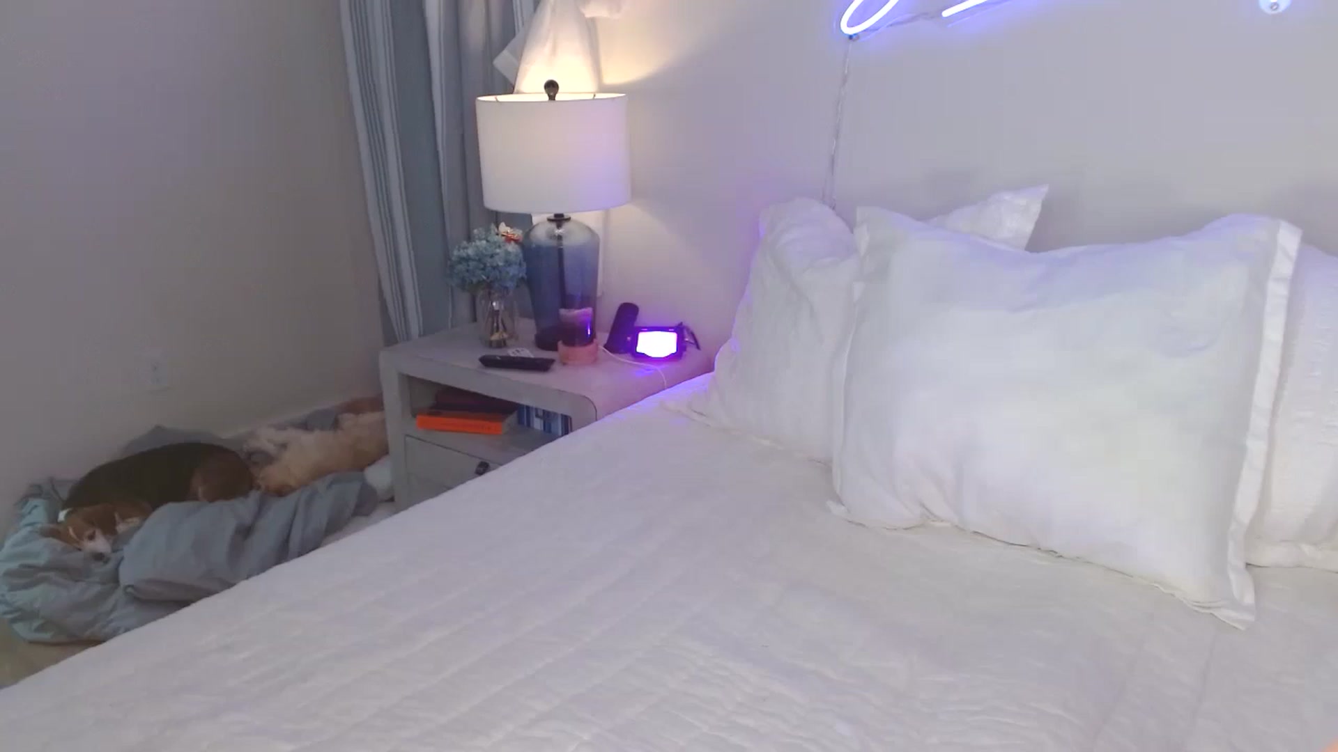 Gallery image thumbnail from SammieAdams's myfreecams stream on, 11/29/2023, 17:48 image 7 of 20