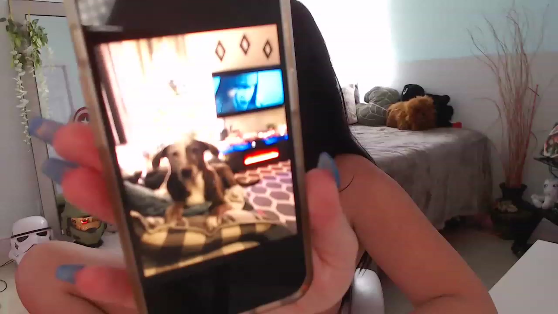 Gallery image thumbnail from Sammigrey_'s myfreecams stream on, 11/22/2022, 18:43 image 8 of 20