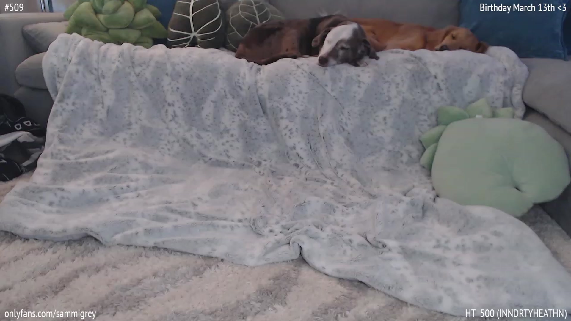 Gallery image thumbnail from Sammigrey_'s myfreecams stream on, 03/01/2023, 19:32 image 20 of 20