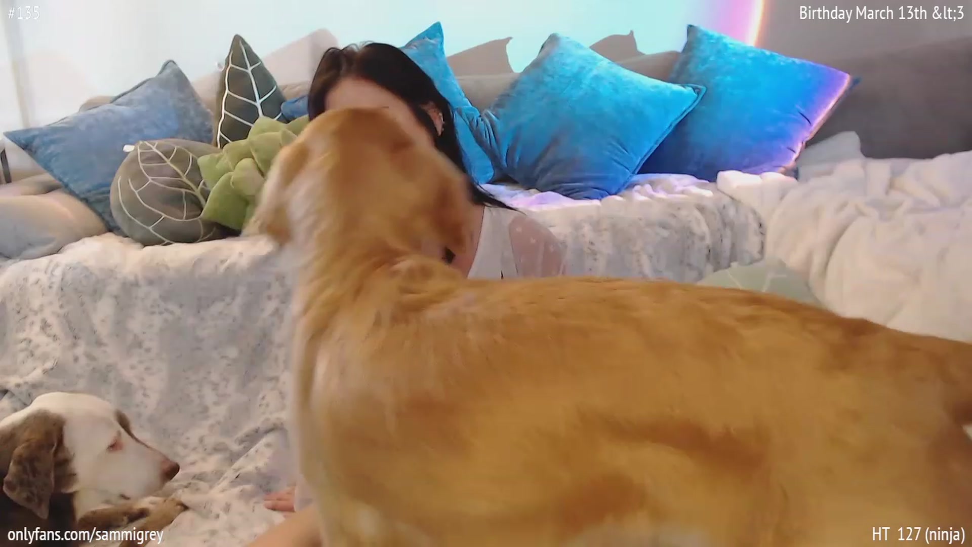 Gallery image thumbnail from Sammigrey_'s myfreecams stream on, 03/03/2023, 18:11 image 20 of 20