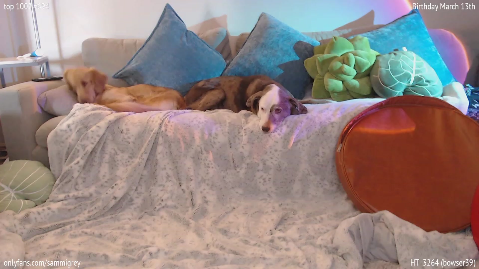 Gallery image thumbnail from Sammigrey_'s myfreecams stream on, 03/17/2023, 17:05 image 9 of 20