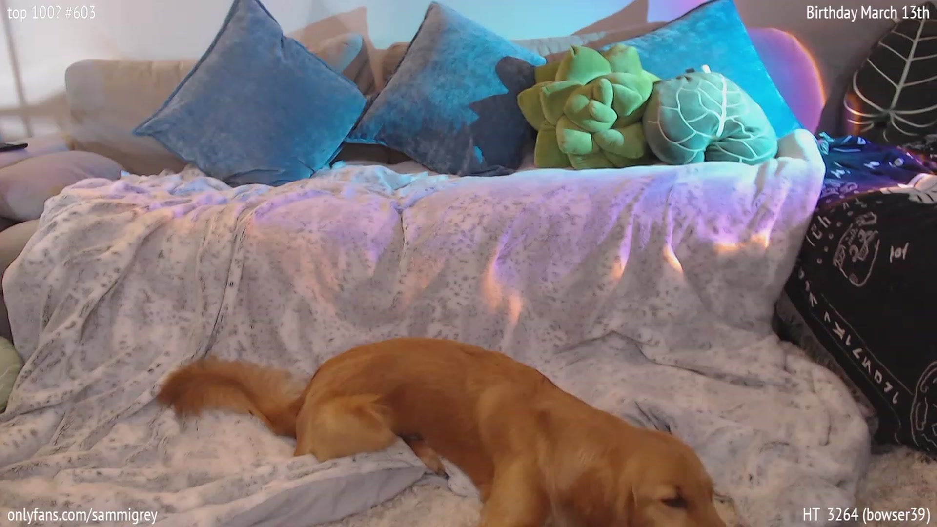 Gallery image thumbnail from Sammigrey_'s myfreecams stream on, 03/17/2023, 17:05 image 16 of 20
