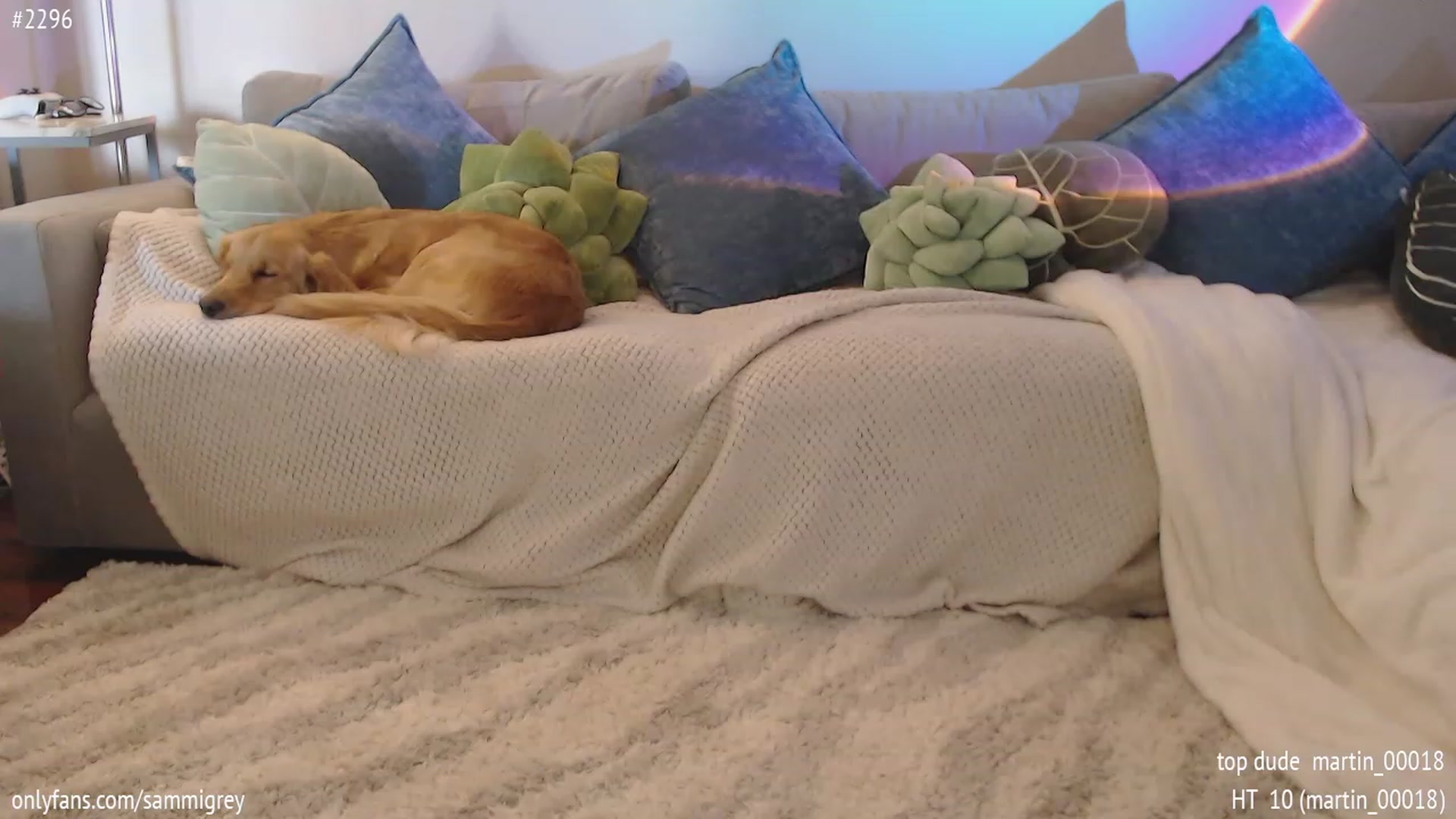 Gallery image thumbnail from Sammigrey_'s myfreecams stream on, 04/01/2023, 17:51 image 11 of 20