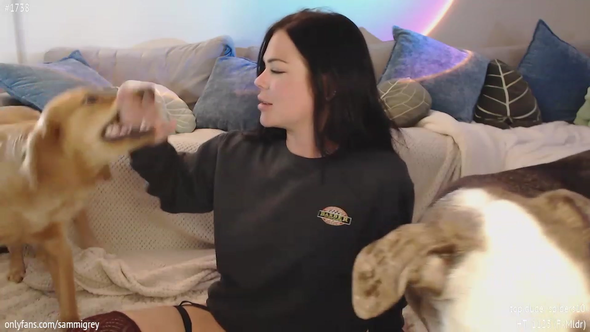 Gallery image thumbnail from Sammigrey_'s myfreecams stream on, 04/05/2023, 20:47 image 19 of 20