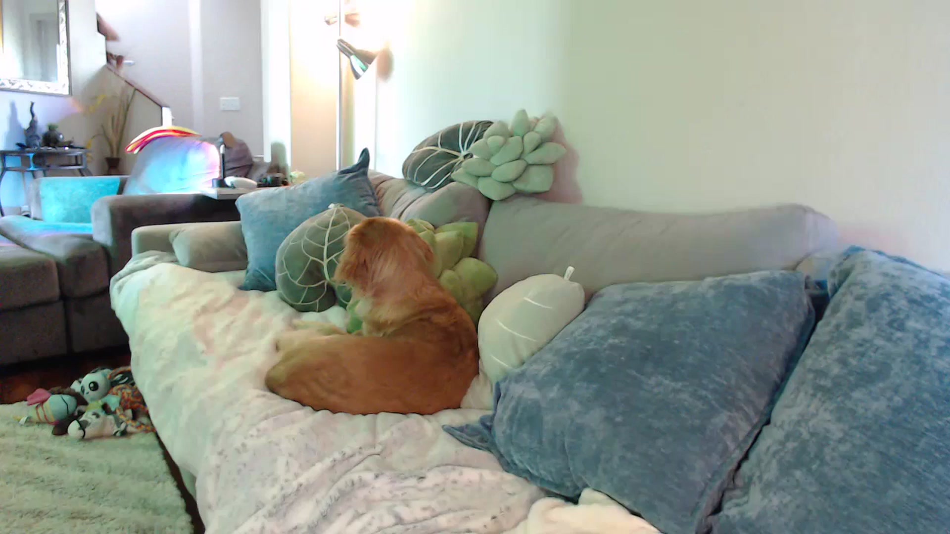 Gallery image thumbnail from Sammigrey_'s myfreecams stream on, 07/10/2023, 17:52 image 1 of 20