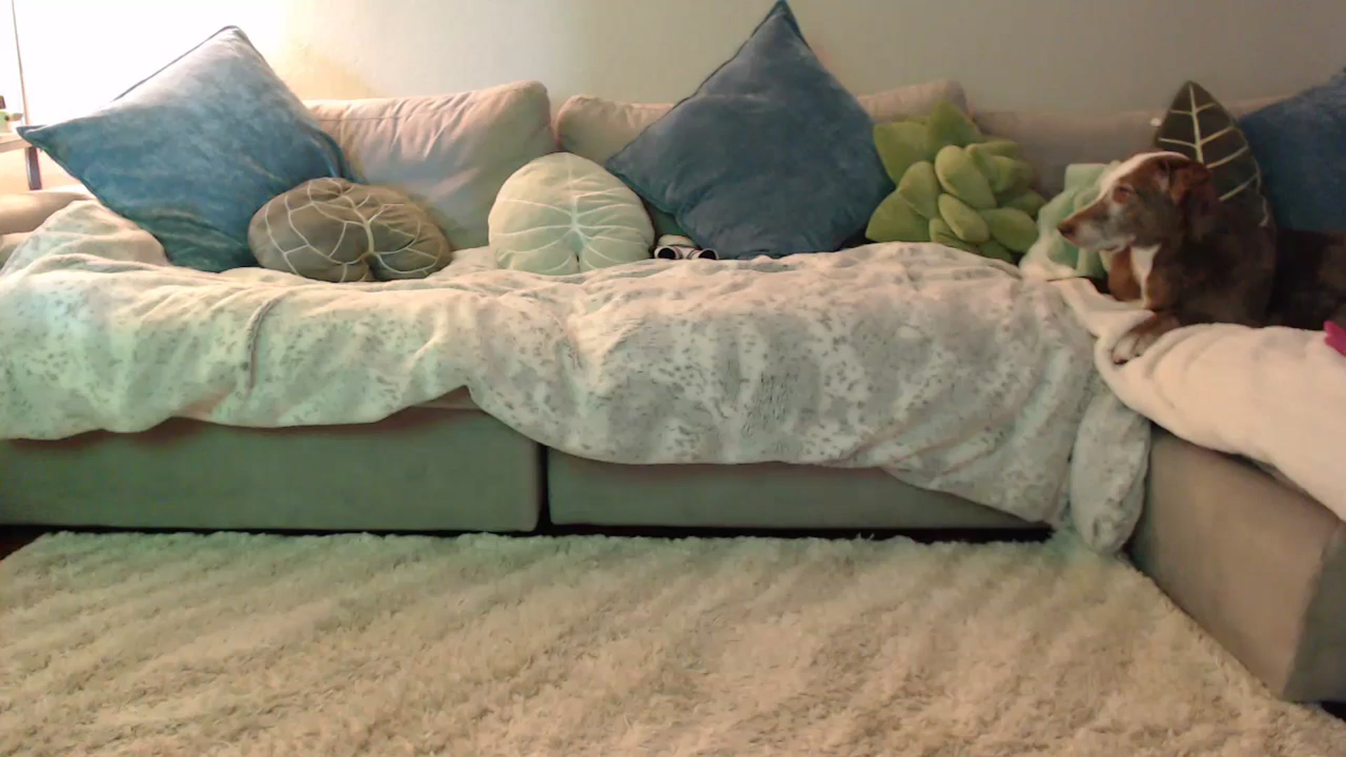 Gallery image thumbnail from Sammigrey_'s myfreecams stream on, 07/19/2023, 17:31 image 9 of 20