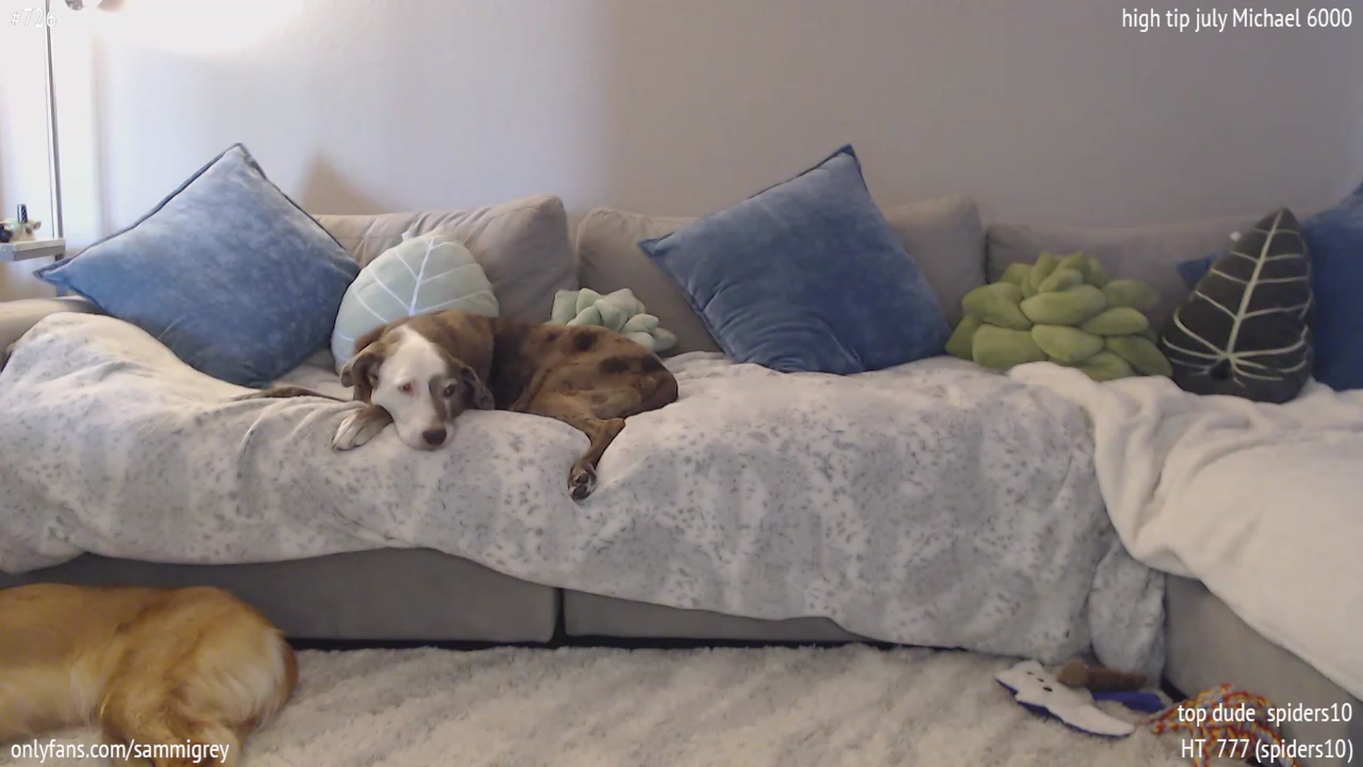 Gallery image thumbnail from Sammigrey_'s myfreecams stream on, 07/24/2023, 19:19 image 14 of 20