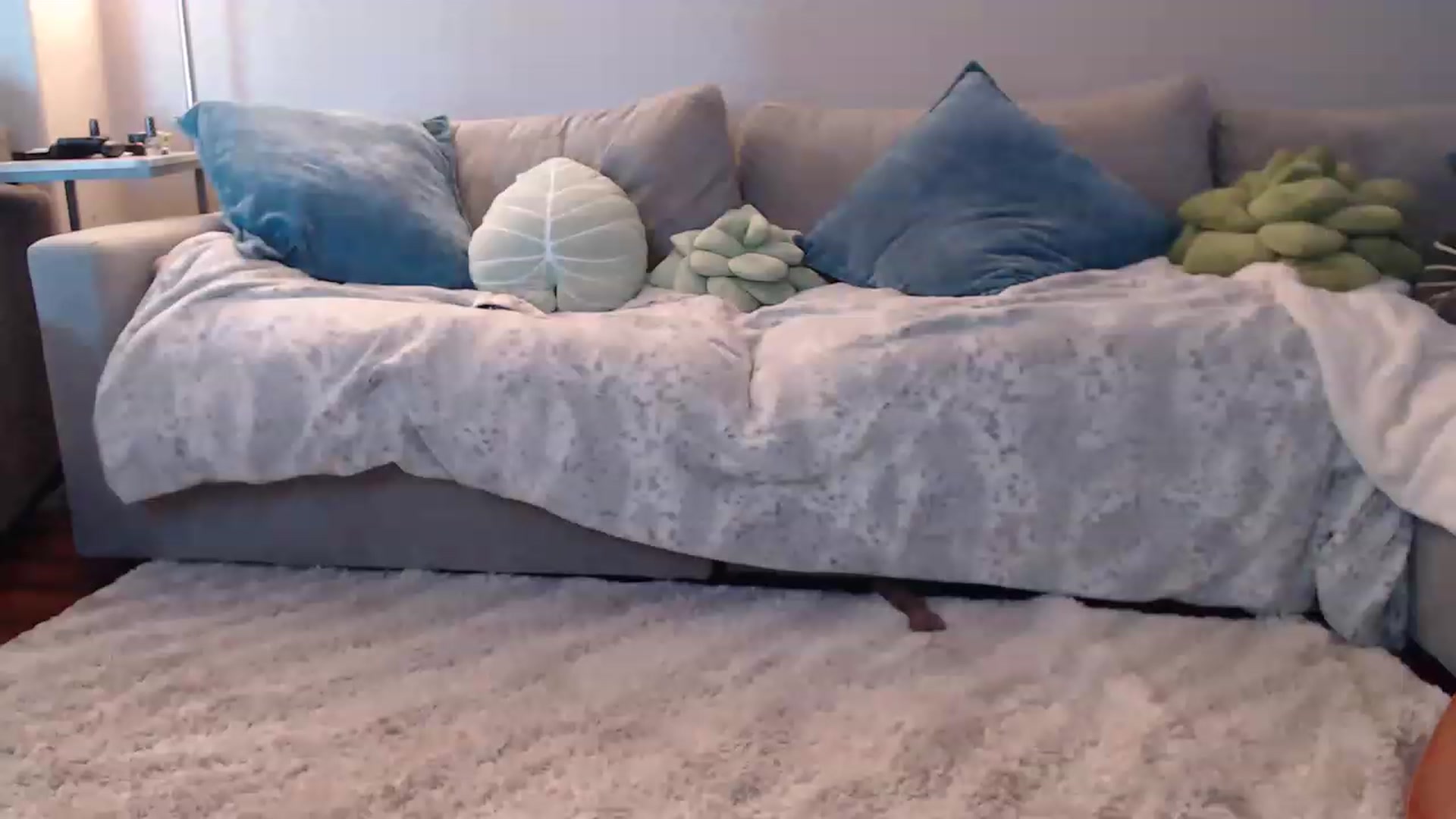 Gallery image thumbnail from Sammigrey_'s myfreecams stream on, 07/25/2023, 19:14 image 19 of 20