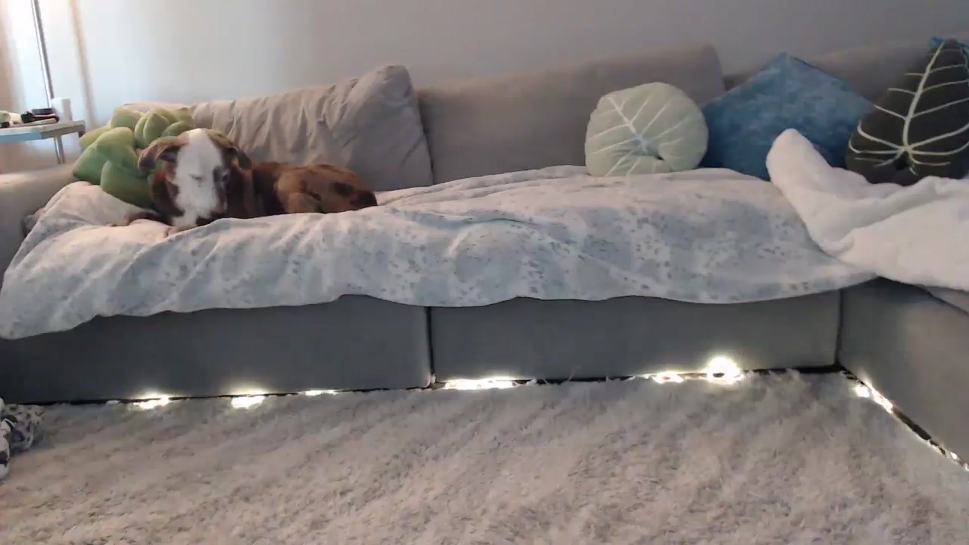 Gallery image thumbnail from Sammigrey_'s myfreecams stream on, 10/12/2023, 18:41 image 18 of 20