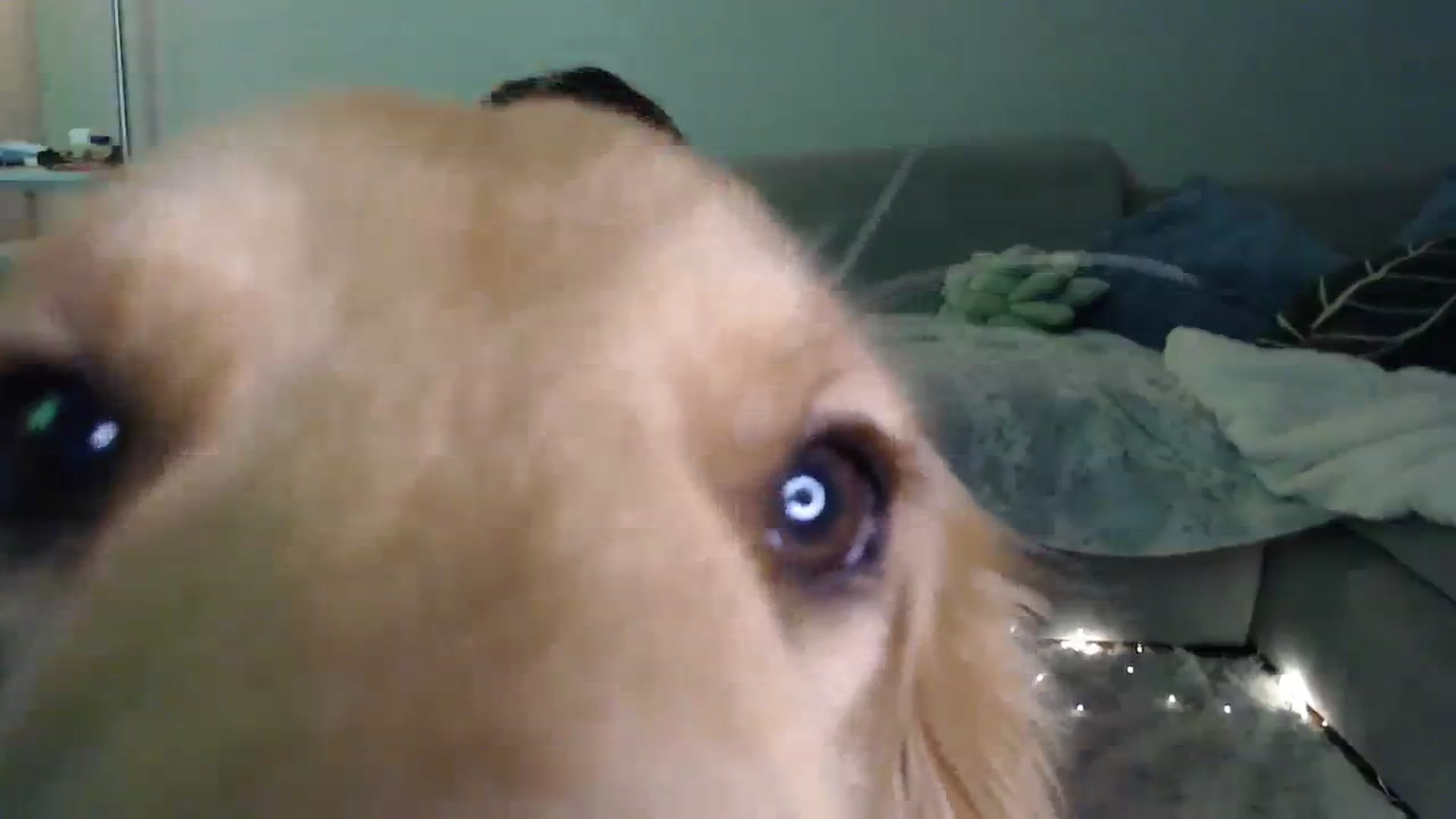 Gallery image thumbnail from Sammigrey_'s myfreecams stream on, 10/13/2023, 15:15 image 11 of 20