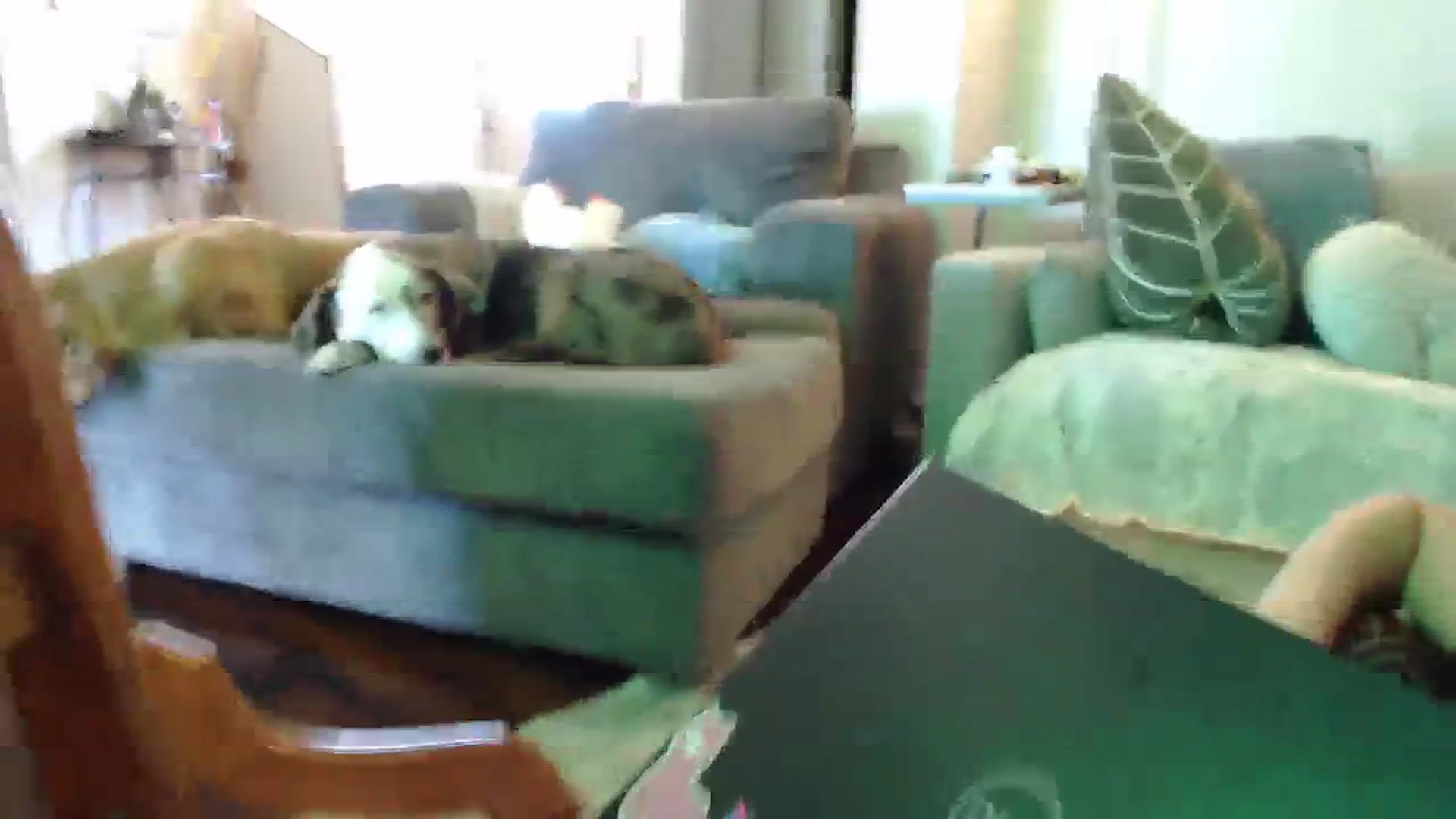 Gallery image thumbnail from Sammigrey_'s myfreecams stream on, 10/19/2023, 16:25 image 6 of 20