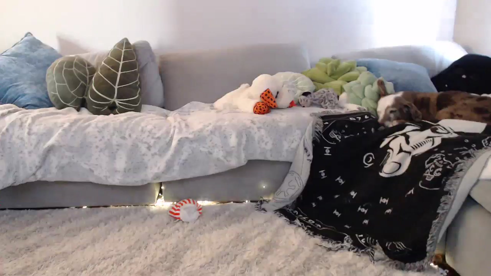 Gallery image thumbnail from Sammigrey_'s myfreecams stream on, 10/25/2023, 17:06 image 20 of 20