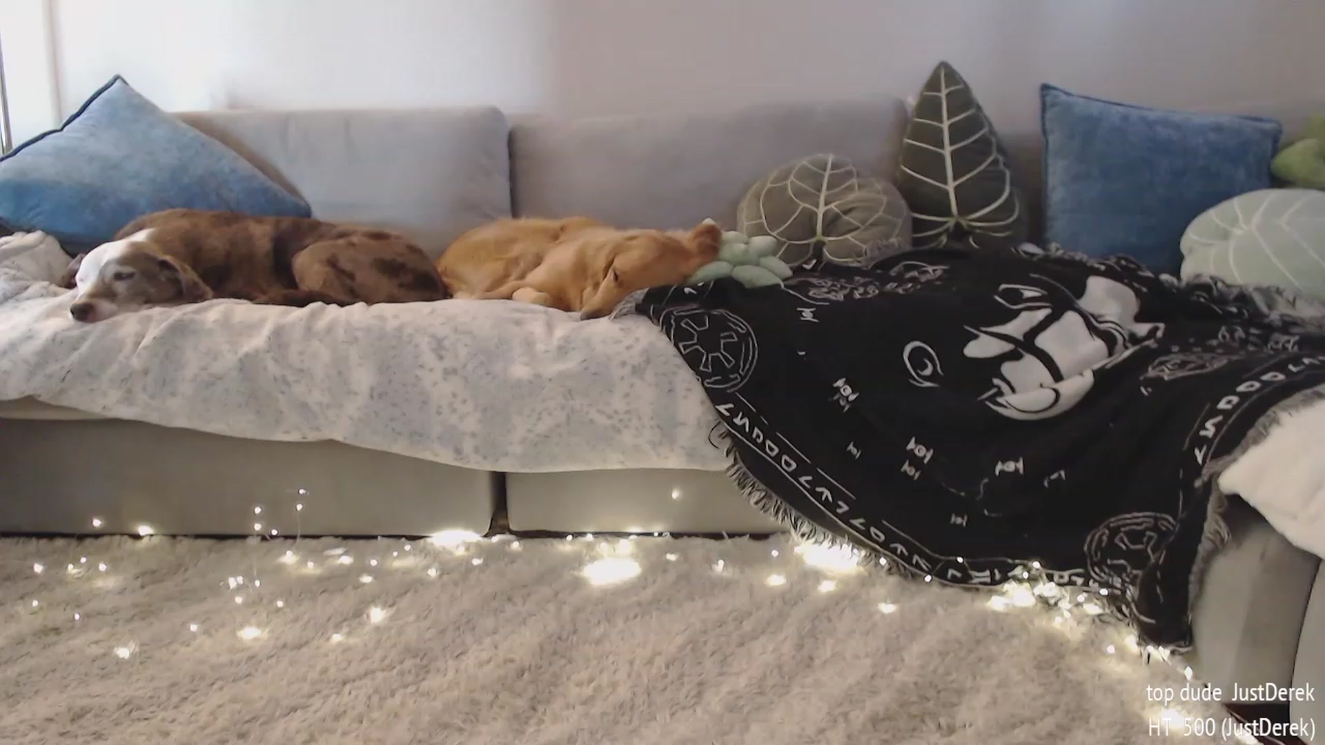 Gallery image thumbnail from Sammigrey_'s myfreecams stream on, 10/28/2023, 16:48 image 20 of 20
