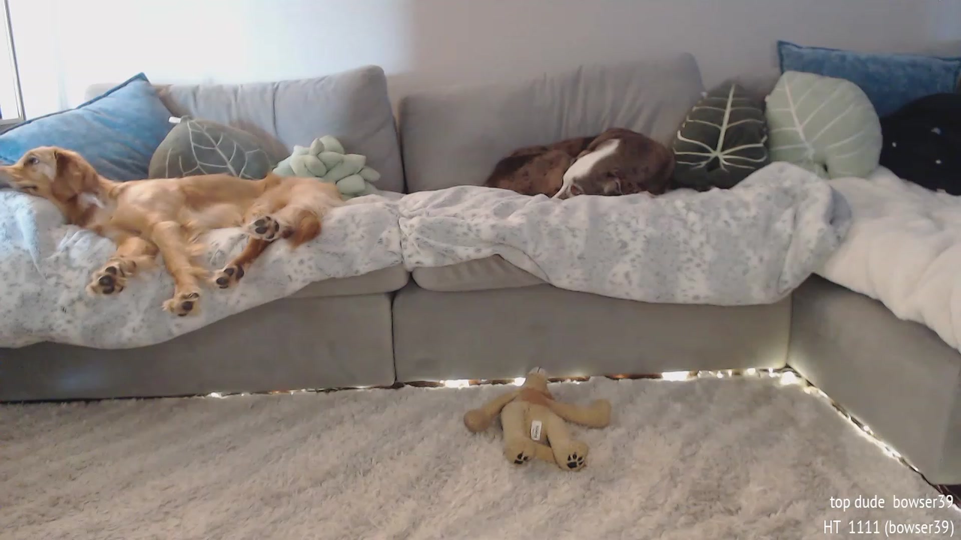 Gallery image thumbnail from Sammigrey_'s myfreecams stream on, 11/03/2023, 14:42 image 19 of 20