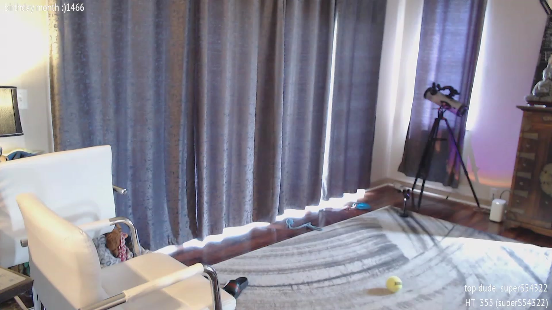 Gallery image thumbnail from Sammigrey_'s myfreecams stream on, 03/08/2024, 20:37 image 13 of 20