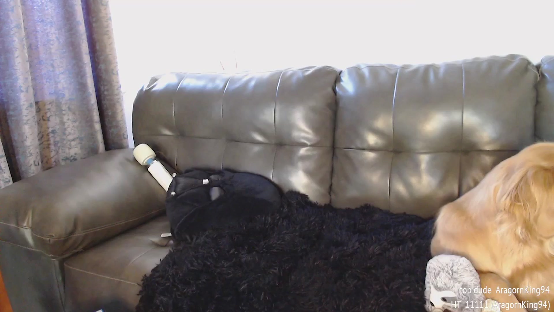 Gallery image thumbnail from Sammigrey_'s myfreecams stream on, 04/29/2024, 21:04 image 15 of 20