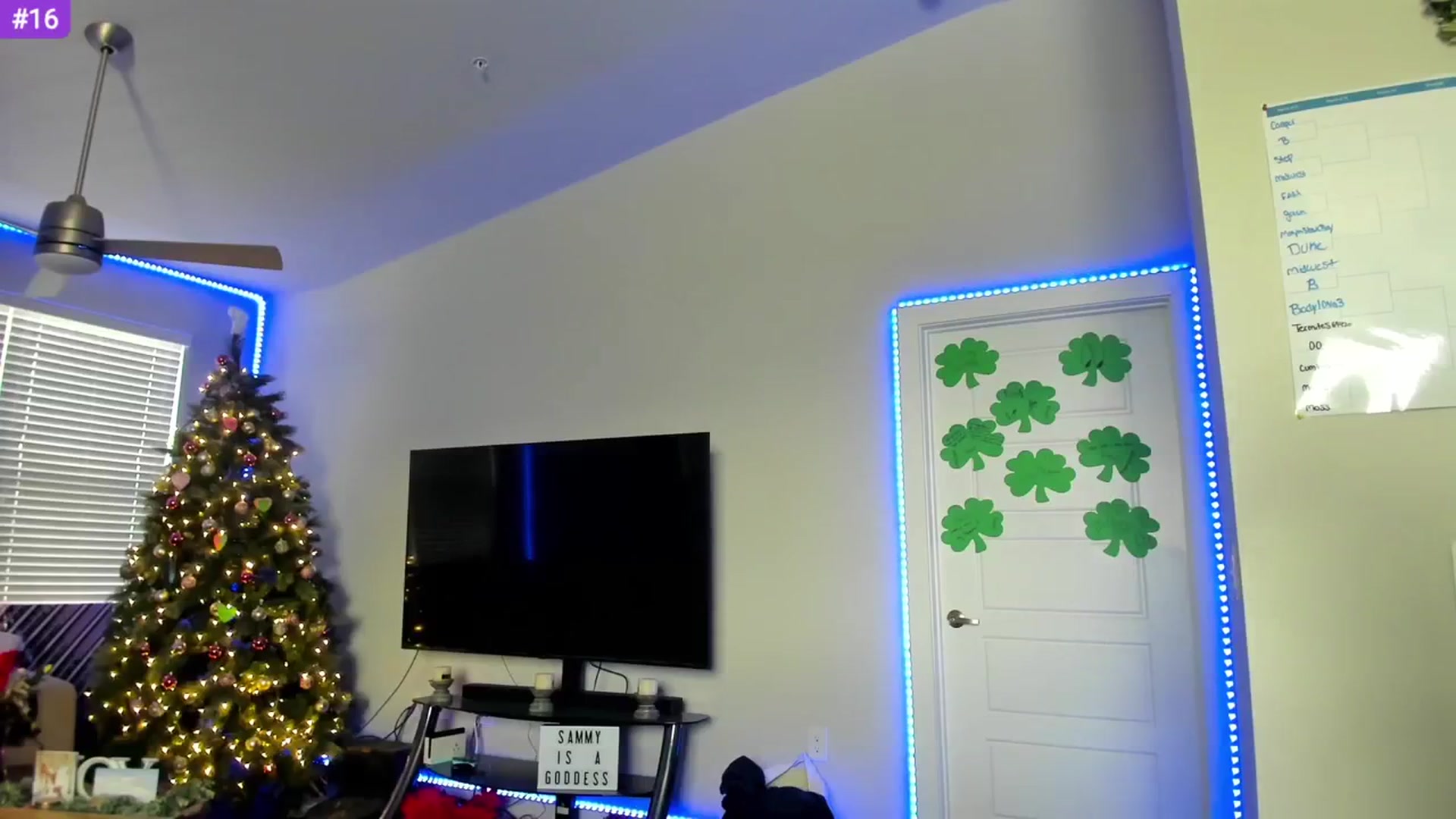 Gallery image thumbnail from Sammy_gray's myfreecams stream on, 03/10/2024, 23:59 image 18 of 20