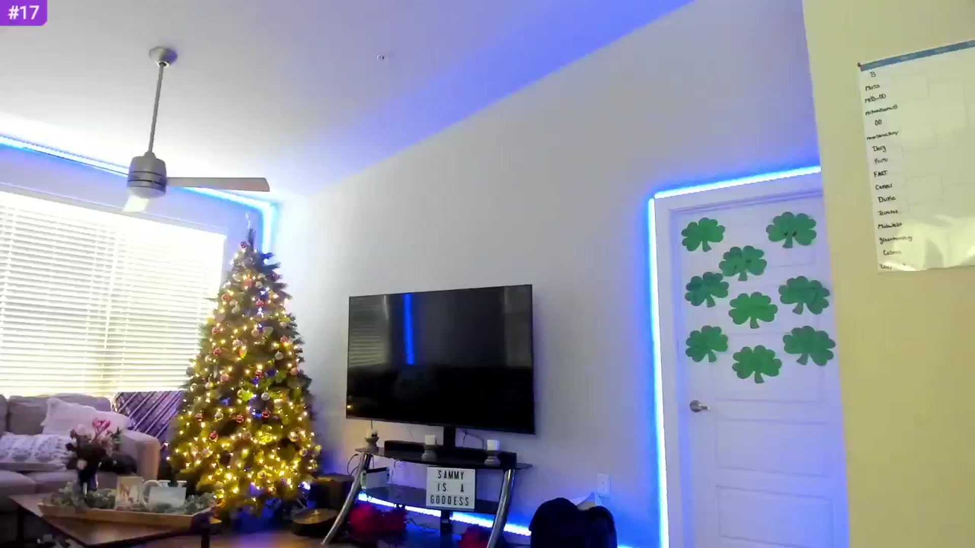 Gallery image thumbnail from Sammy_gray's myfreecams stream on, 03/12/2024, 22:52 image 12 of 20