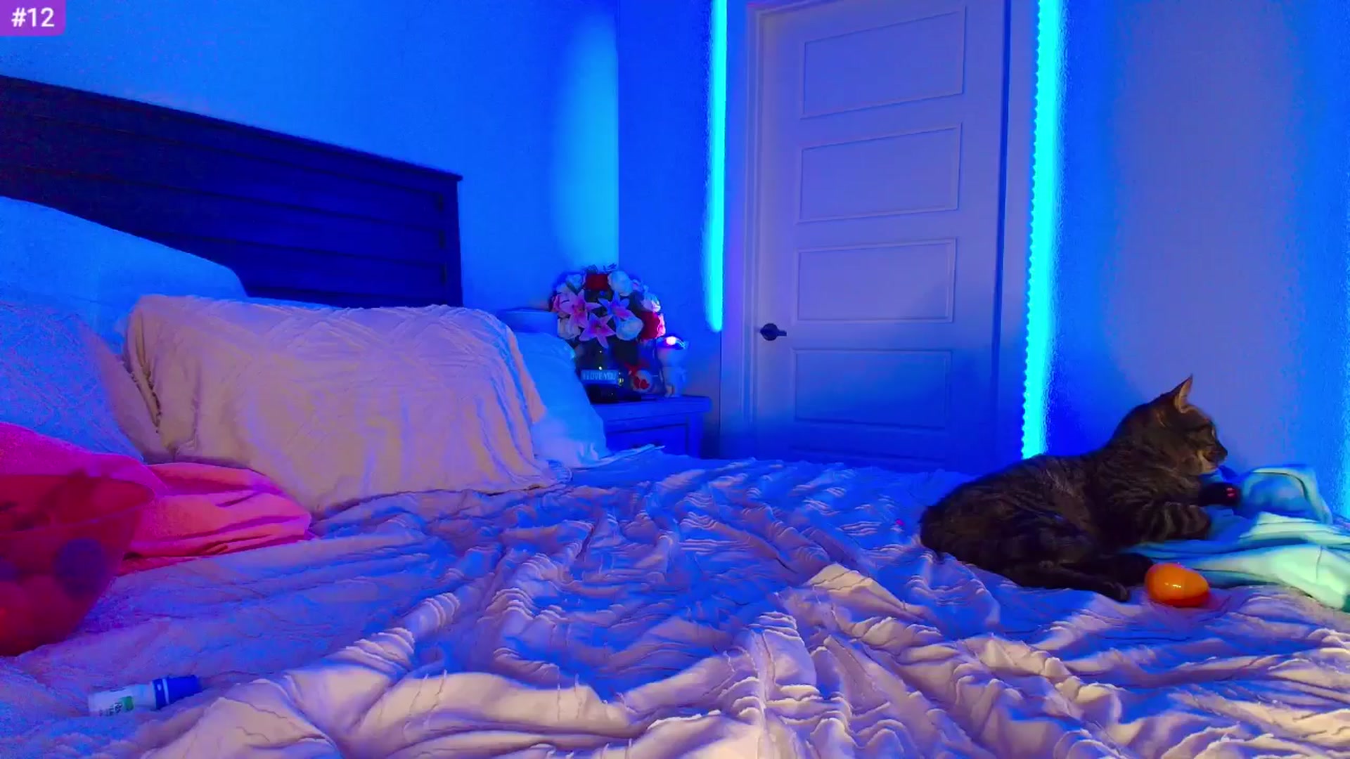 Gallery image thumbnail from Sammy_gray's myfreecams stream on, 04/25/2024, 06:55 image 16 of 20