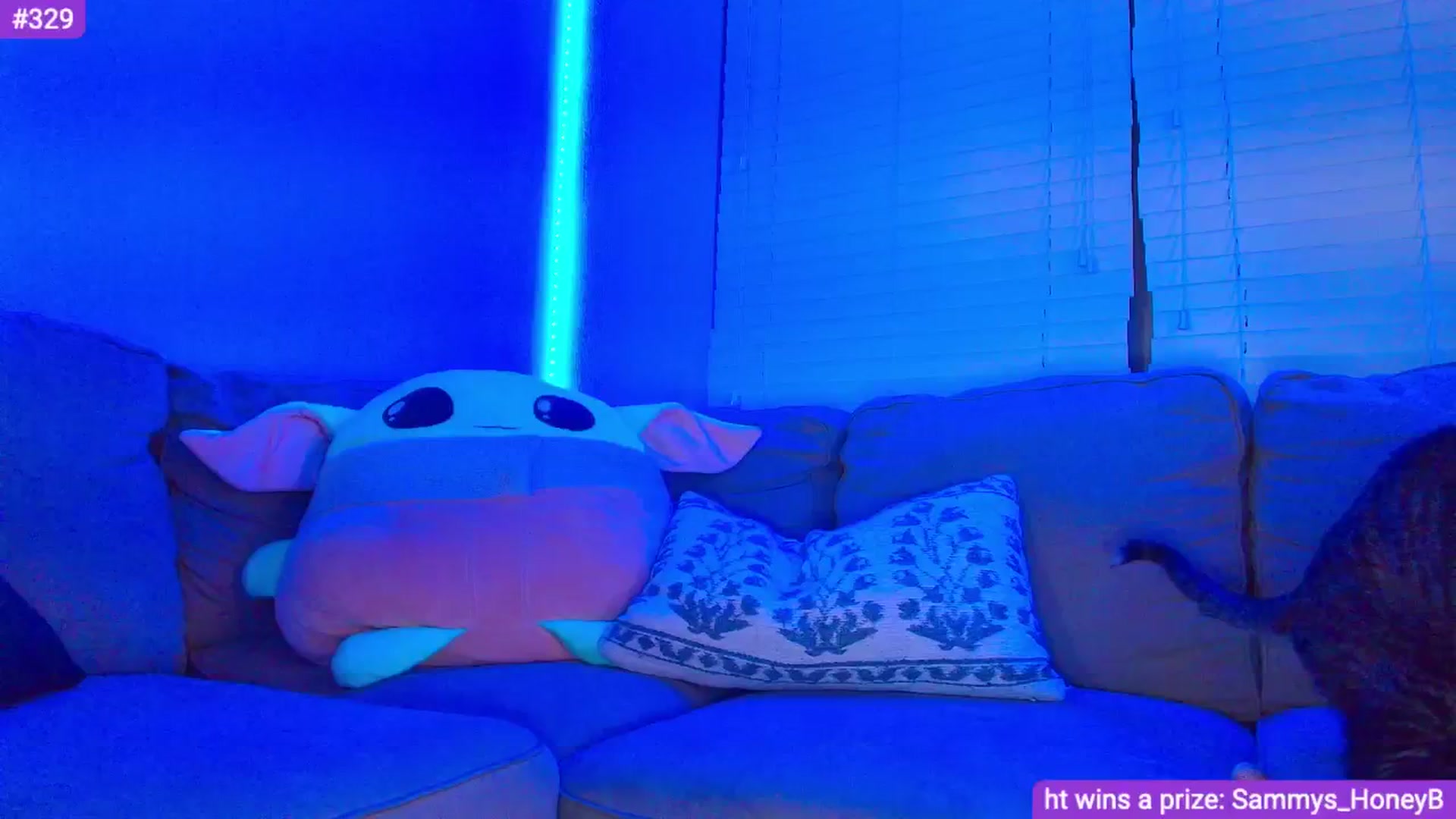 Gallery image thumbnail from Sammy_gray's myfreecams stream on, 05/02/2024, 03:59 image 7 of 20