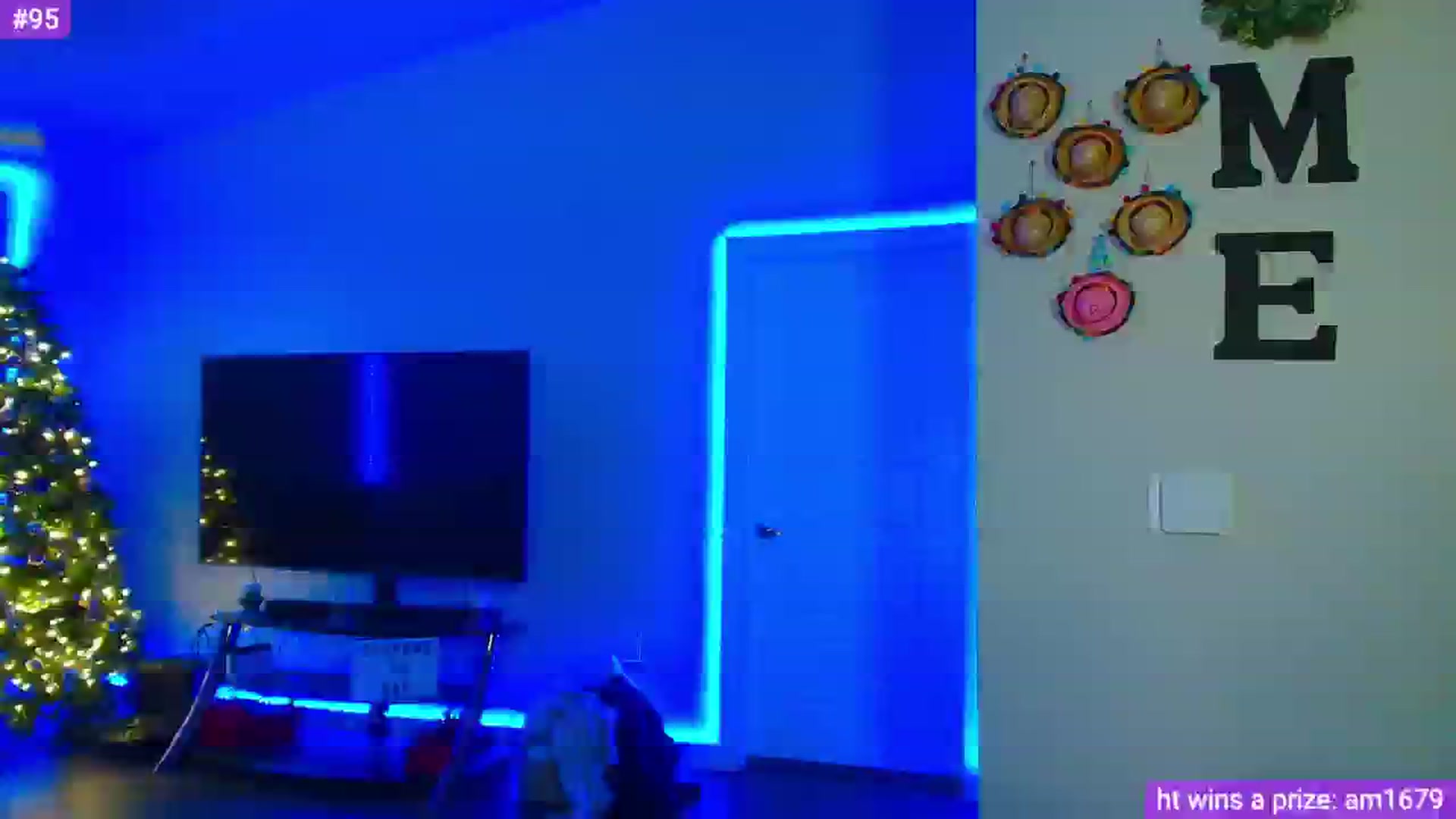 Gallery image thumbnail from Sammy_gray's myfreecams stream on, 05/04/2024, 03:52 image 12 of 20
