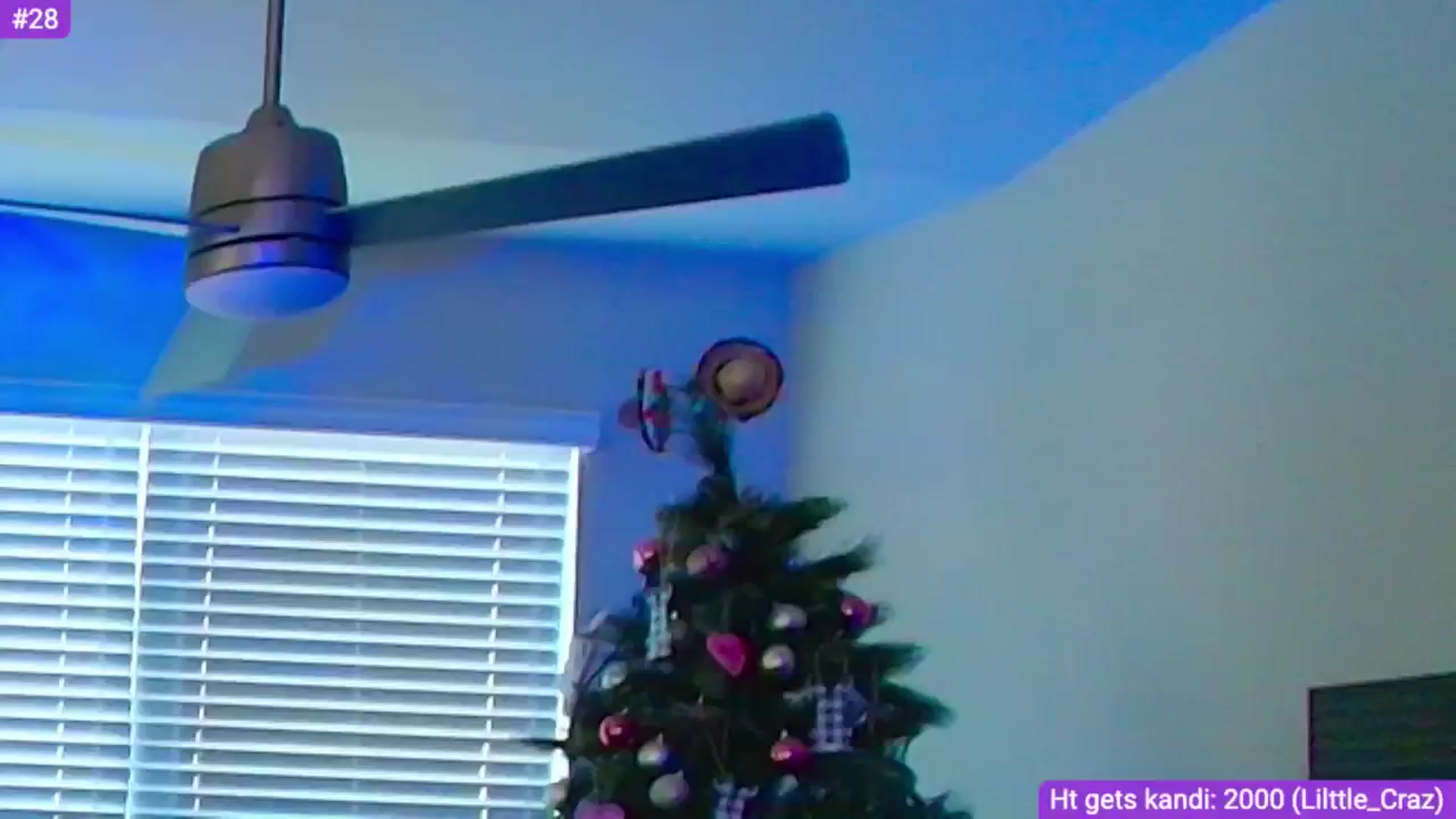 Gallery image thumbnail from Sammy_gray's myfreecams stream on, 05/23/2024, 01:36 image 16 of 20