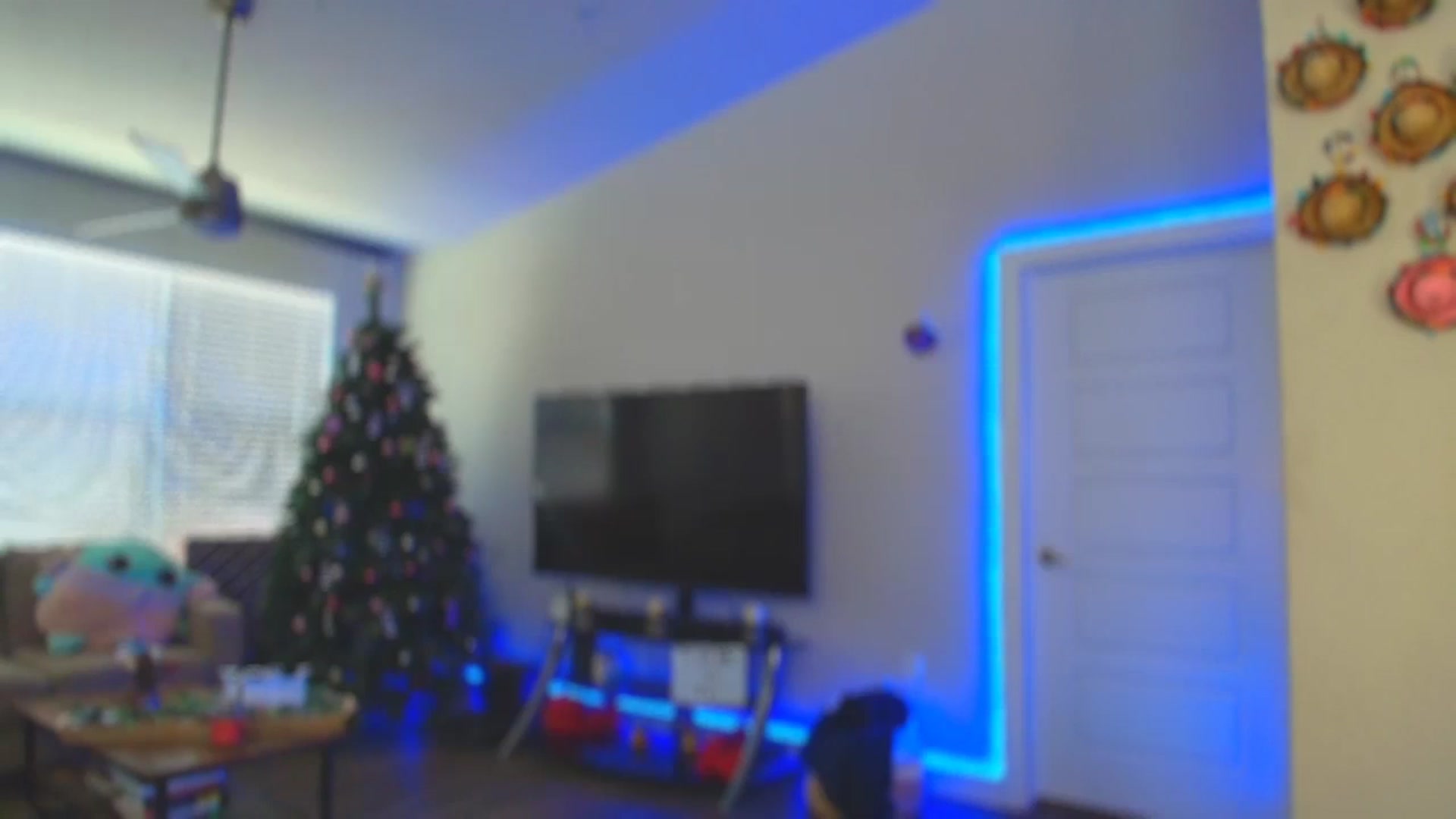 Gallery image thumbnail from Sammy_gray's myfreecams stream on, 05/31/2024, 23:46 image 10 of 20