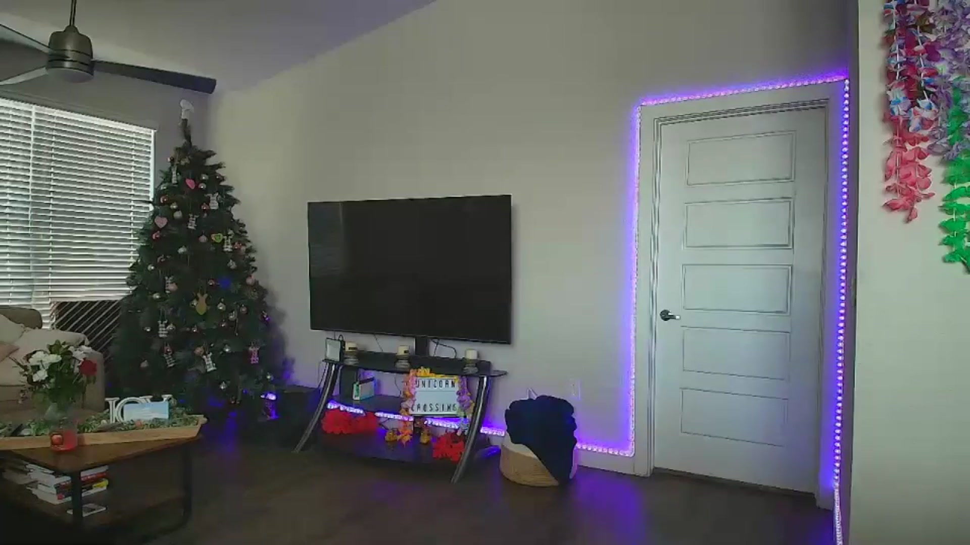Gallery image thumbnail from Sammy_gray's myfreecams stream on, 06/26/2024, 23:00 image 11 of 20