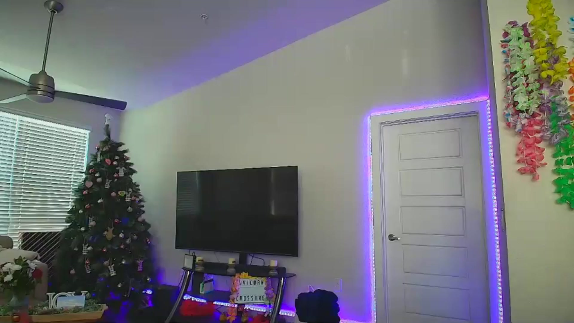 Gallery image thumbnail from Sammy_gray's myfreecams stream on, 06/27/2024, 24:53 image 16 of 20