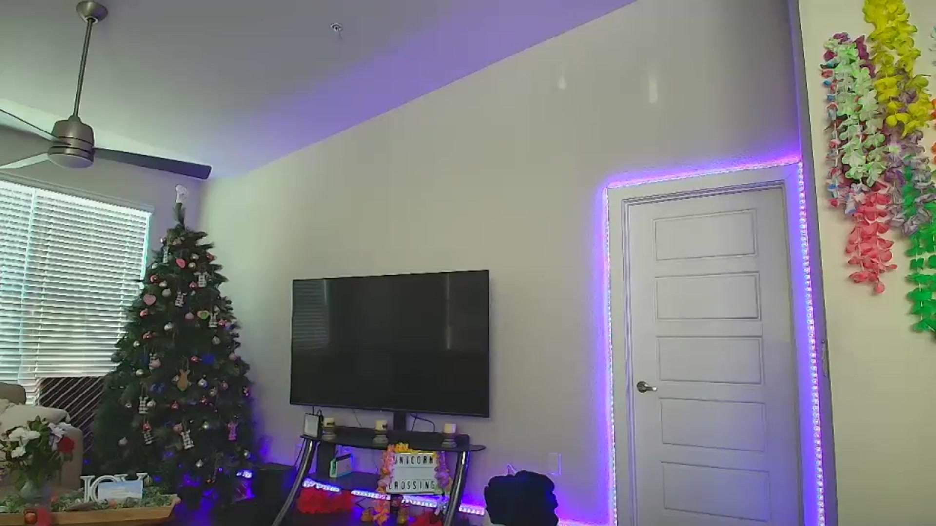 Gallery image thumbnail from Sammy_gray's myfreecams stream on, 06/27/2024, 24:53 image 15 of 20