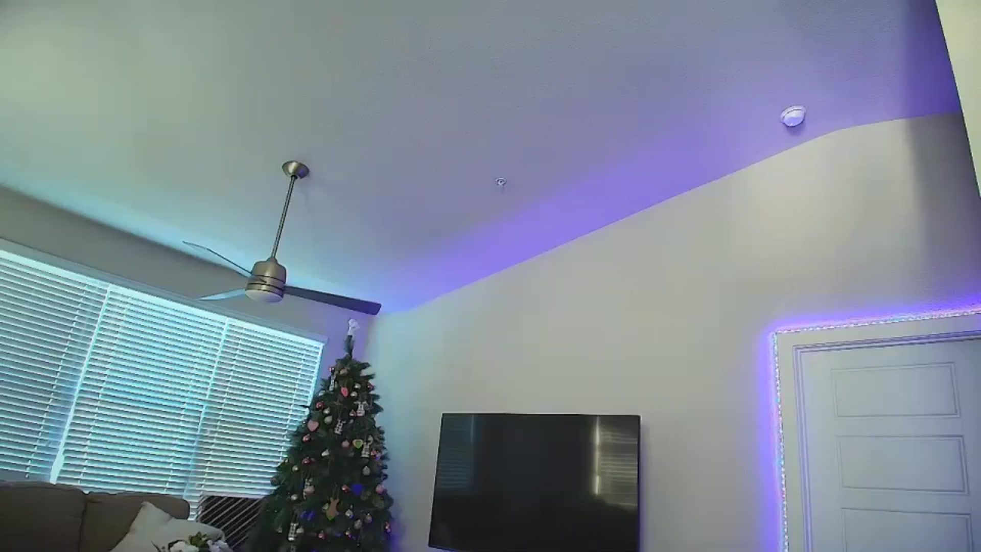 Gallery image thumbnail from Sammy_gray's myfreecams stream on, 06/27/2024, 02:43 image 6 of 20