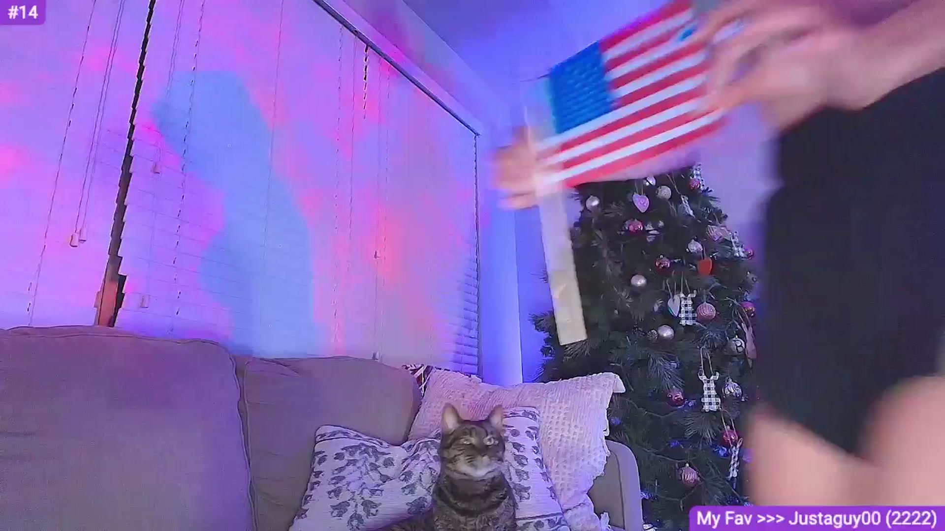 Gallery image thumbnail from Sammy_gray's myfreecams stream on, 07/03/2024, 09:25 image 1 of 20