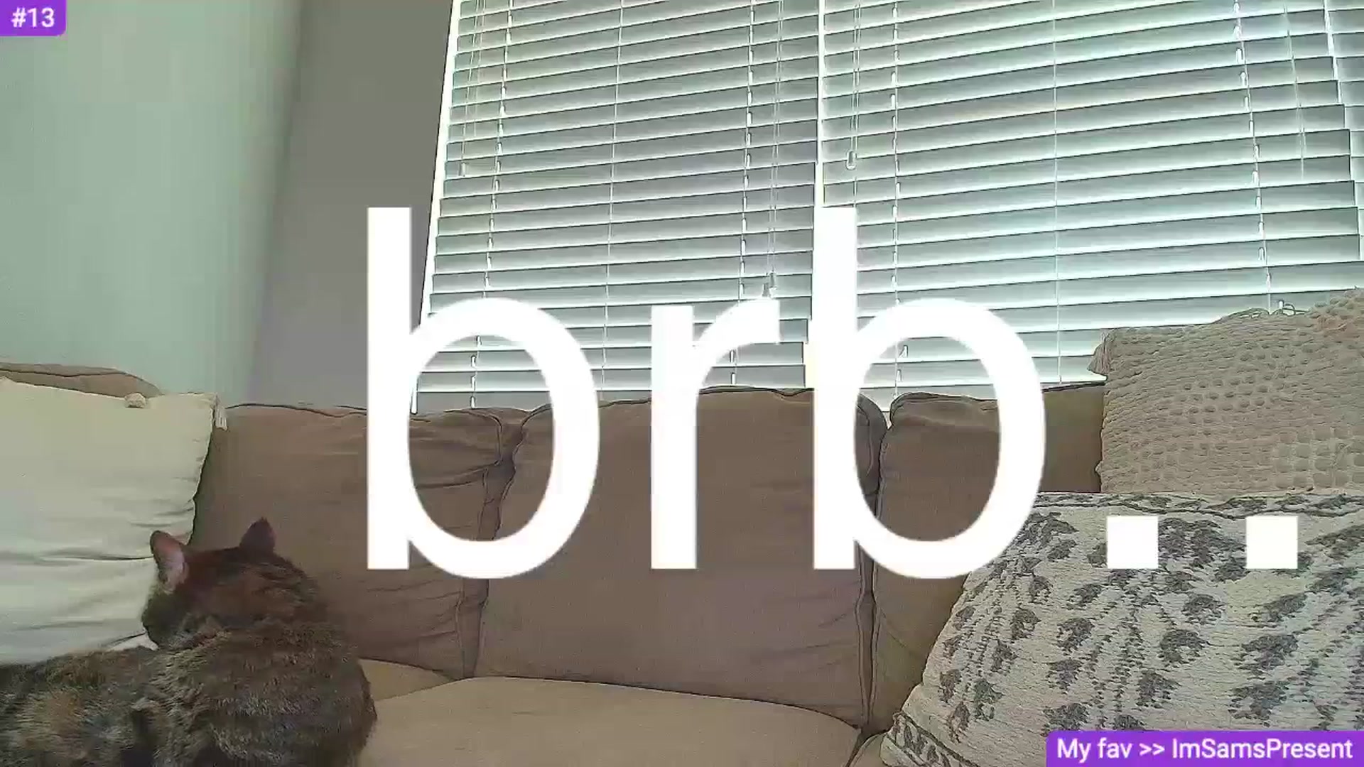 Gallery image thumbnail from Sammy_gray's myfreecams stream on, 07/12/2024, 24:08 image 16 of 20