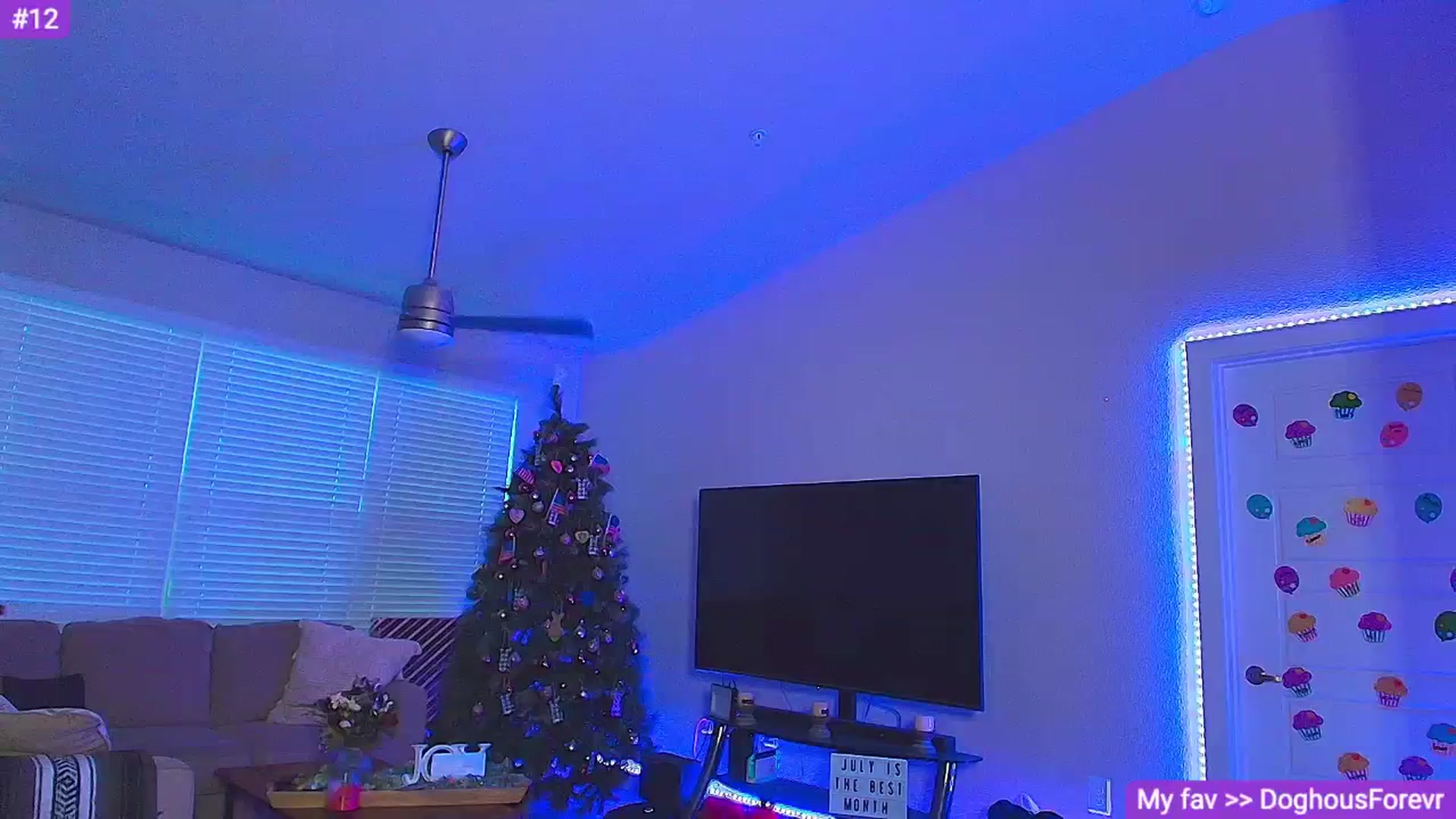 Gallery image thumbnail from Sammy_gray's myfreecams stream on, 07/13/2024, 02:48 image 6 of 20