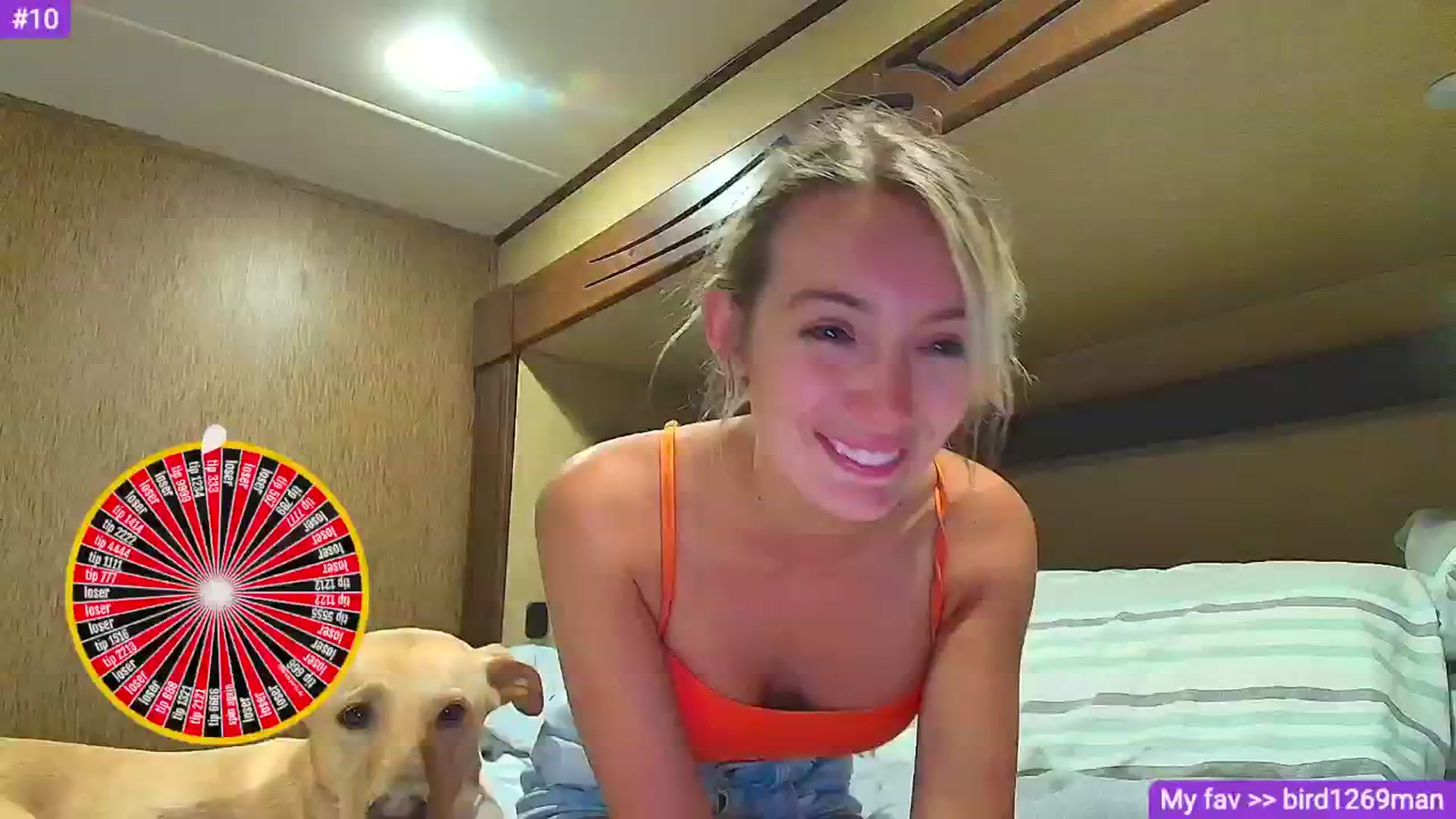Gallery image thumbnail from Sammy_gray's myfreecams stream on, 07/28/2024, 03:56 image 10 of 20