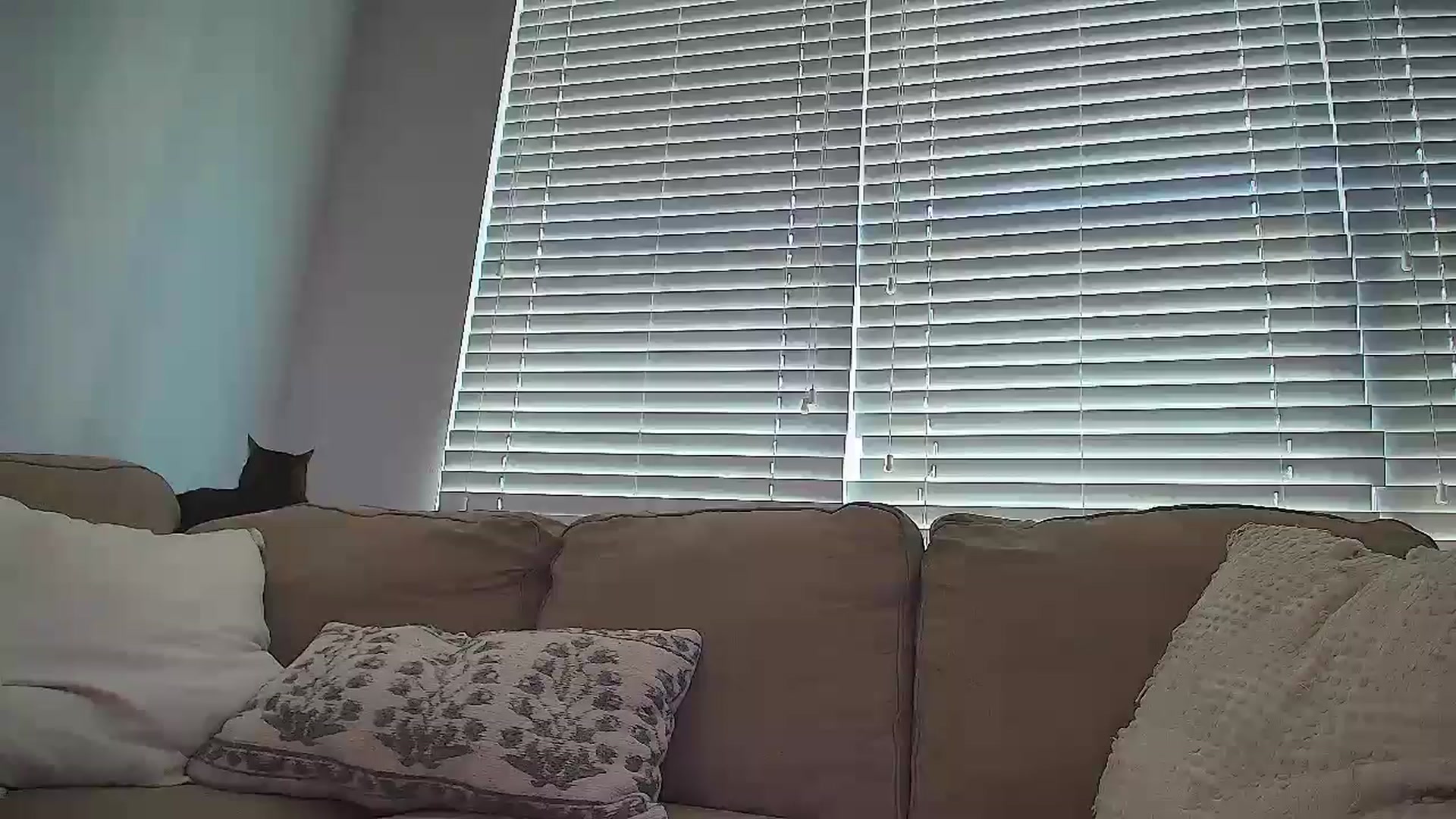 Gallery image thumbnail from Sammy_gray's myfreecams stream on, 08/06/2024, 24:03 image 18 of 20