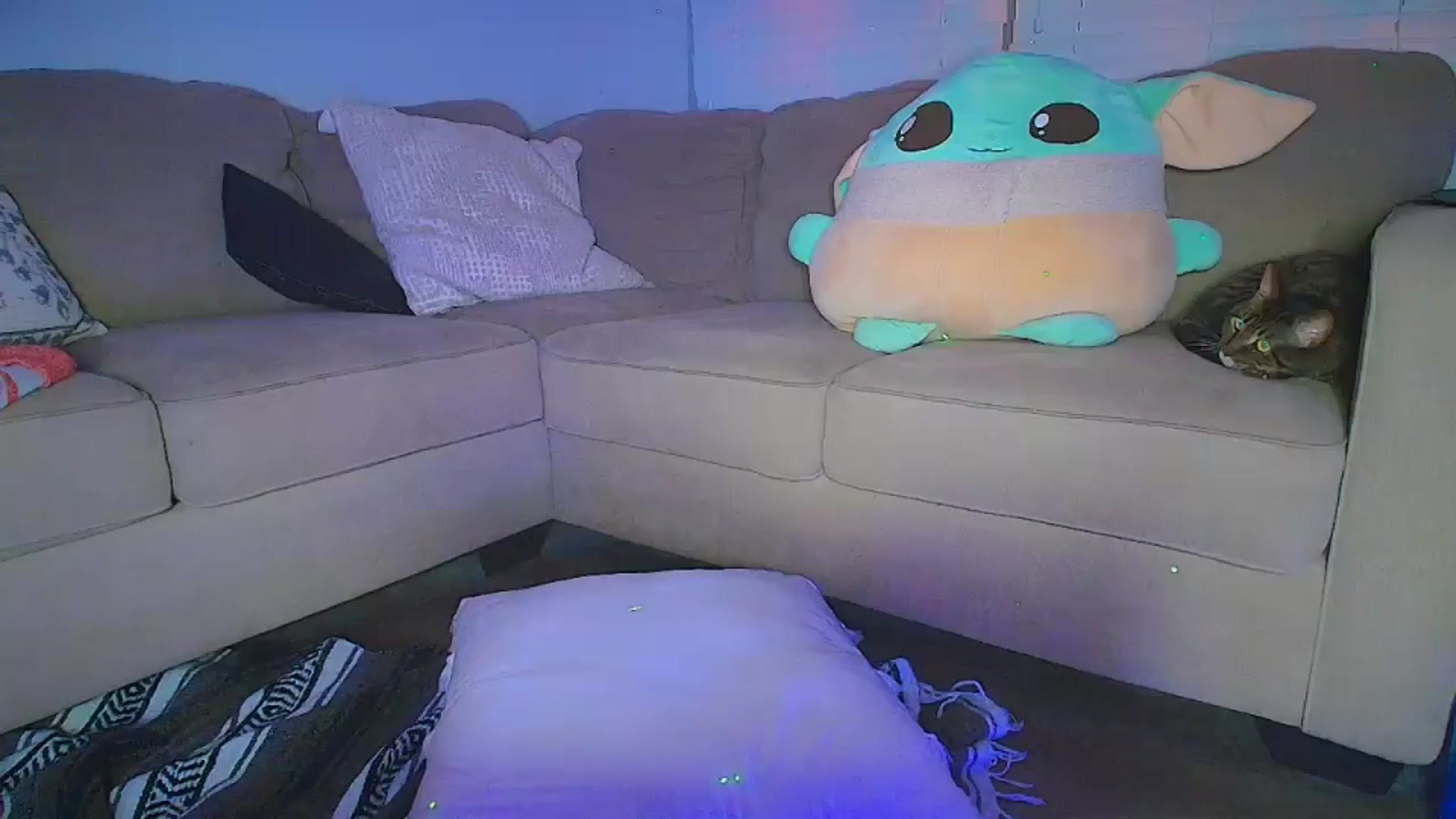 Gallery image thumbnail from Sammy_gray's myfreecams stream on, 08/22/2024, 04:23 image 14 of 20