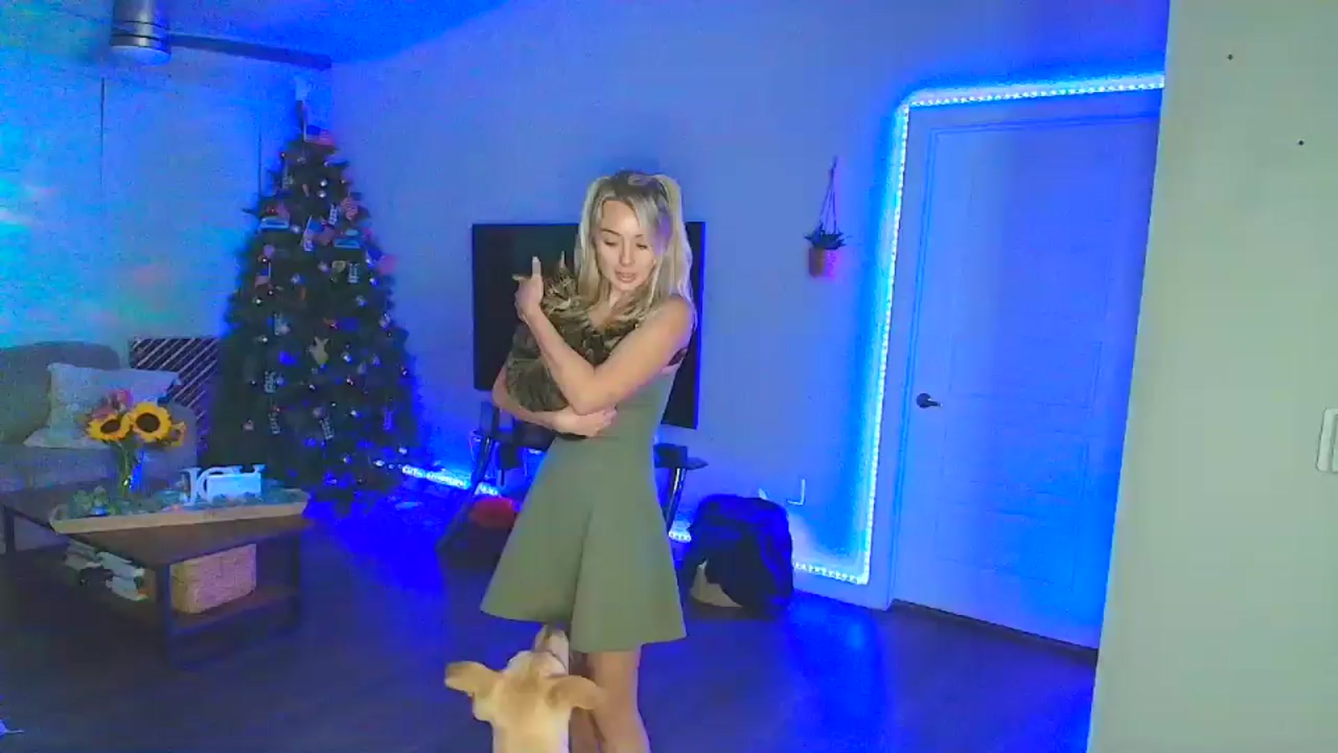Gallery image thumbnail from Sammy_gray's myfreecams stream on, 08/23/2024, 06:34 image 4 of 20
